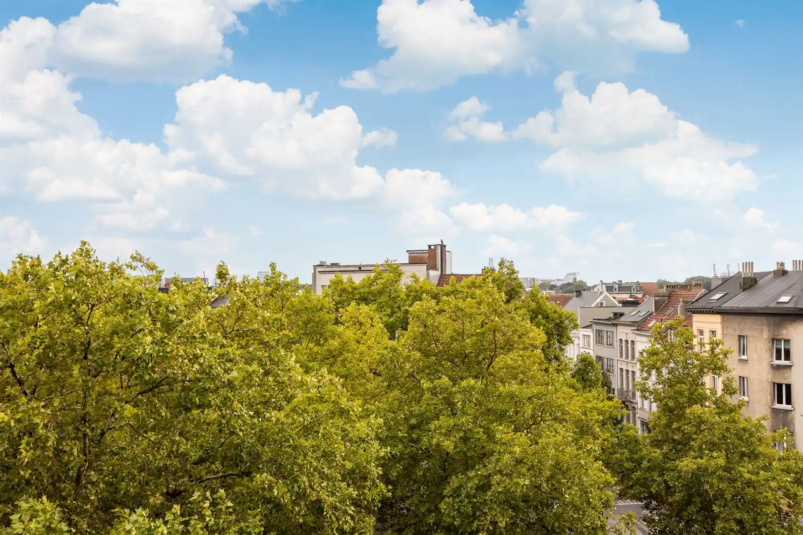 Appartement met zicht over de Leien en het KMSKA foto 12