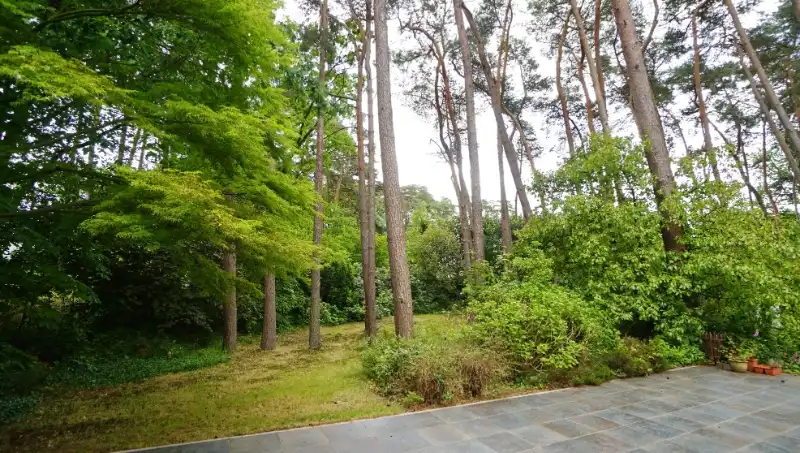 Stijlvolle villa van 275m² op 20 are met bureel, 4 slaapkamers, 2 bad-of douchekamers, dubbele garage foto 8