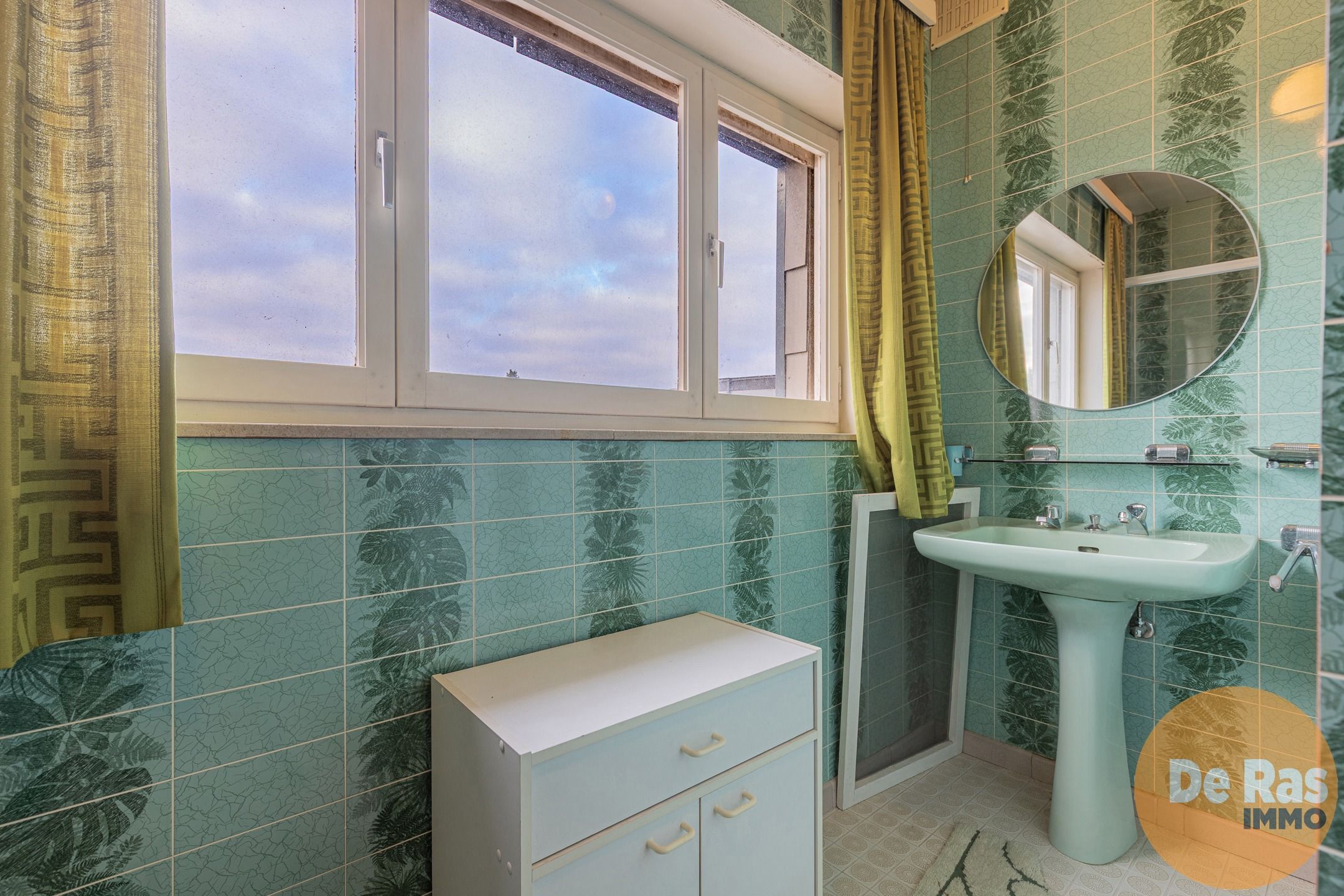 DENDERLEEUW - Mooie, grote GB - 3 slp's - garage en tuin foto 18