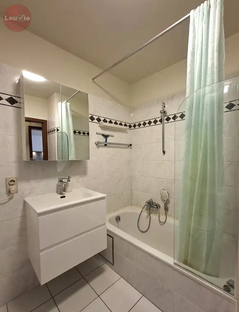 Ruim 1-slaapkamerappartement in hartje Leuven foto 8