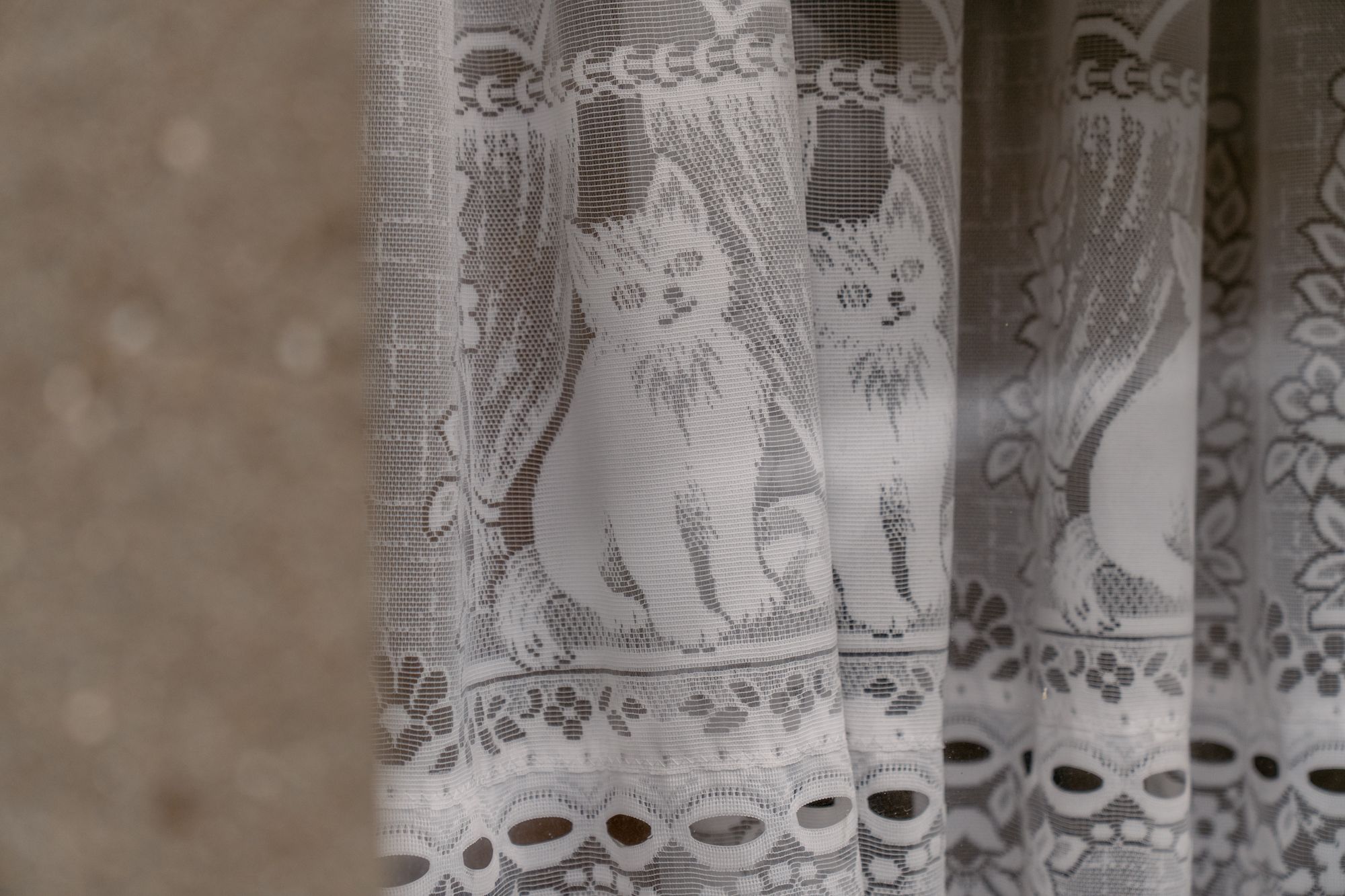 Wrapped in wallpaper: te renoveren of nieuw te bouwen woning in Damtwerpen foto 15