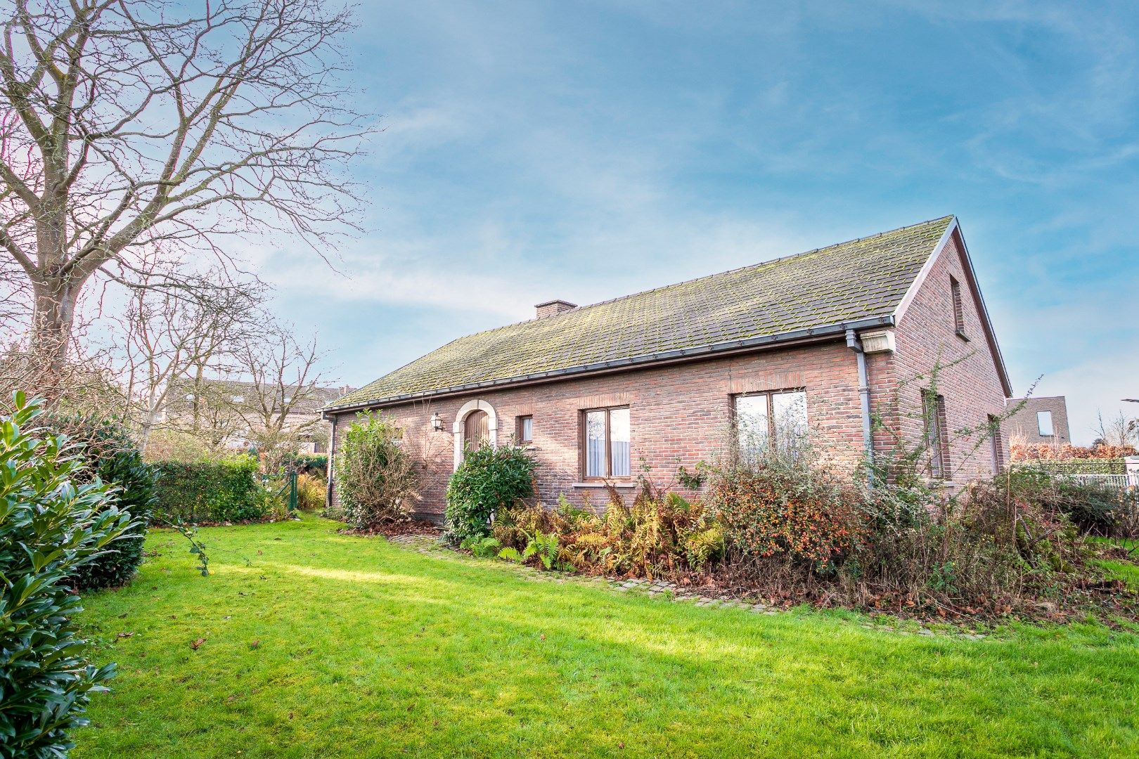 Hoofdfoto van de publicatie: Bungalow met 3 slpk, garage en tuin