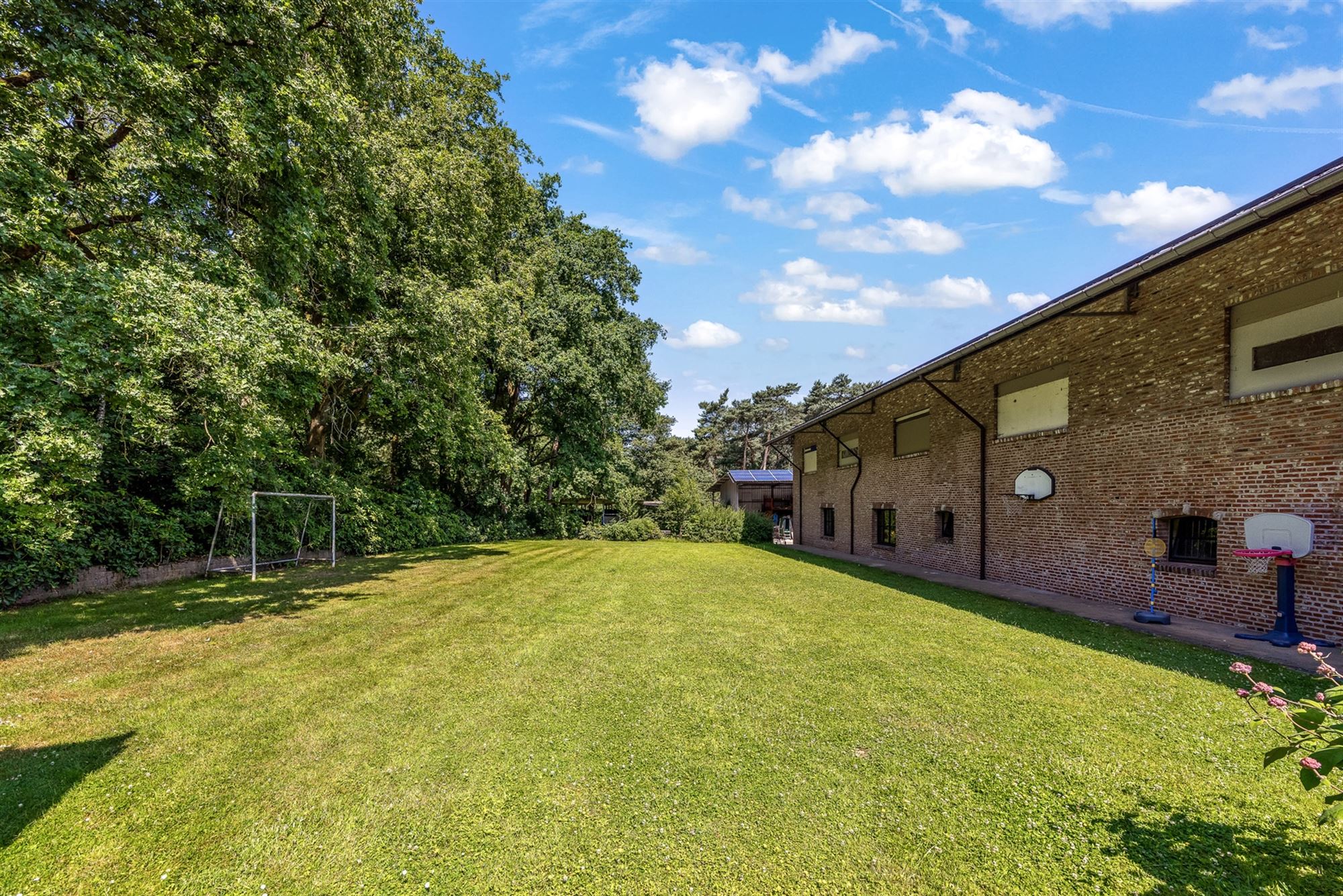 UNIEKE EIGENDOM MET 24 PAARDENSTALLEN EN BINNENPISTE OP CA 10 HECTARE TE PAAL-BERINGEN foto 18