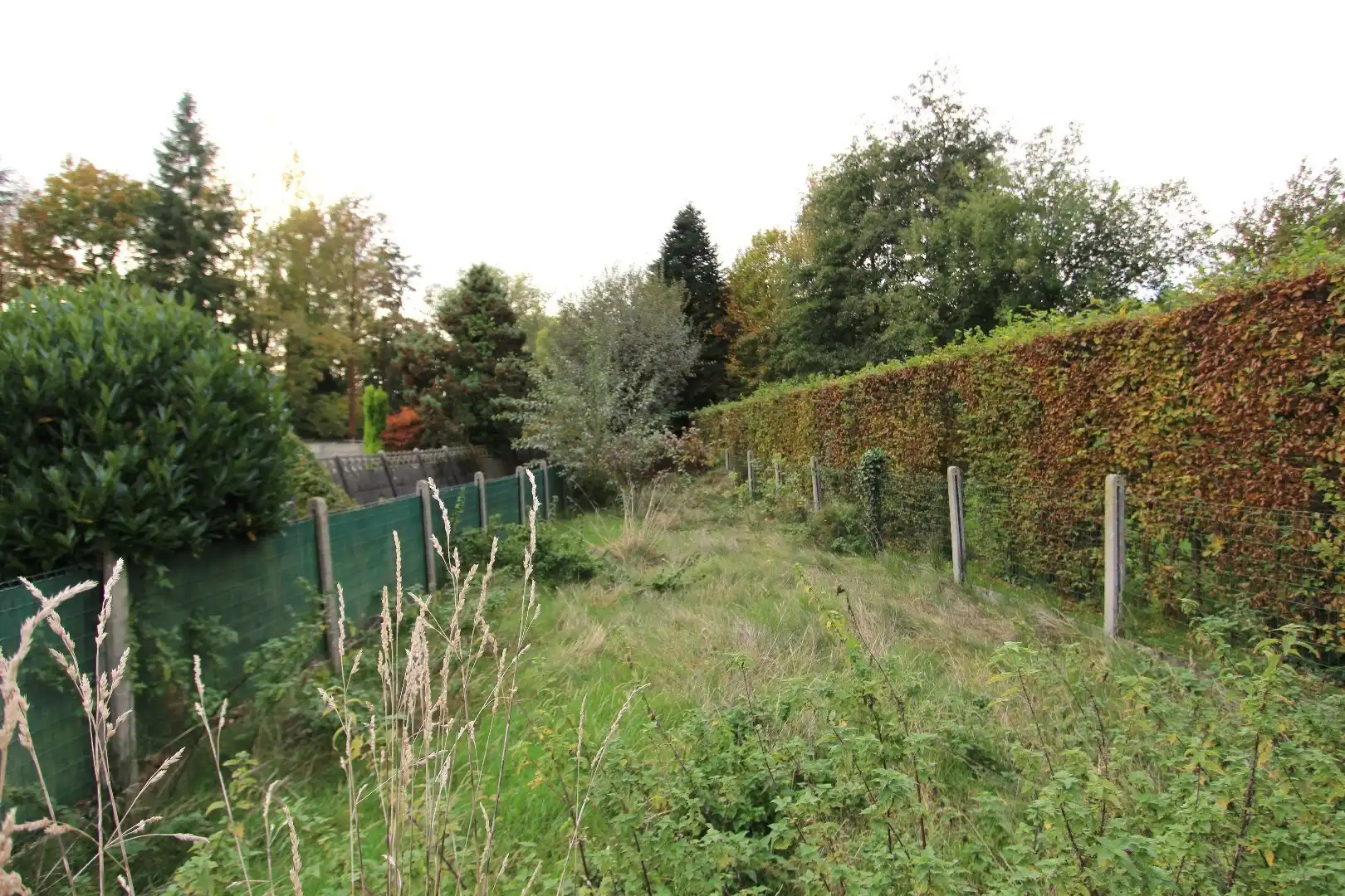Ruime woning met terras en diepe tuin - stadsrand Tongeren foto 3