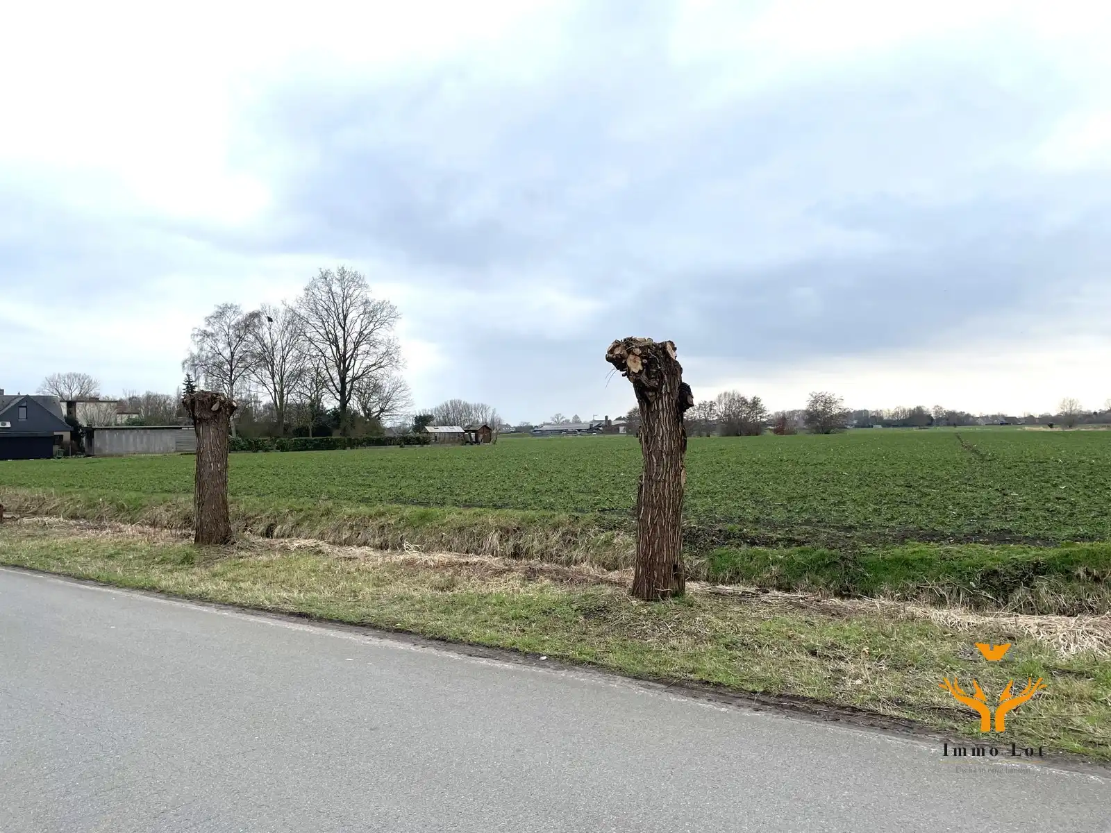 Landbouwgrond van 8 562 m² in Kalken foto 2