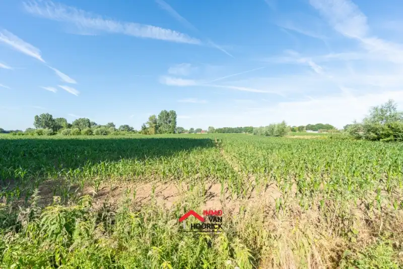 Prachtig gelegen perceel landbouwgrond 12810 m² foto 7