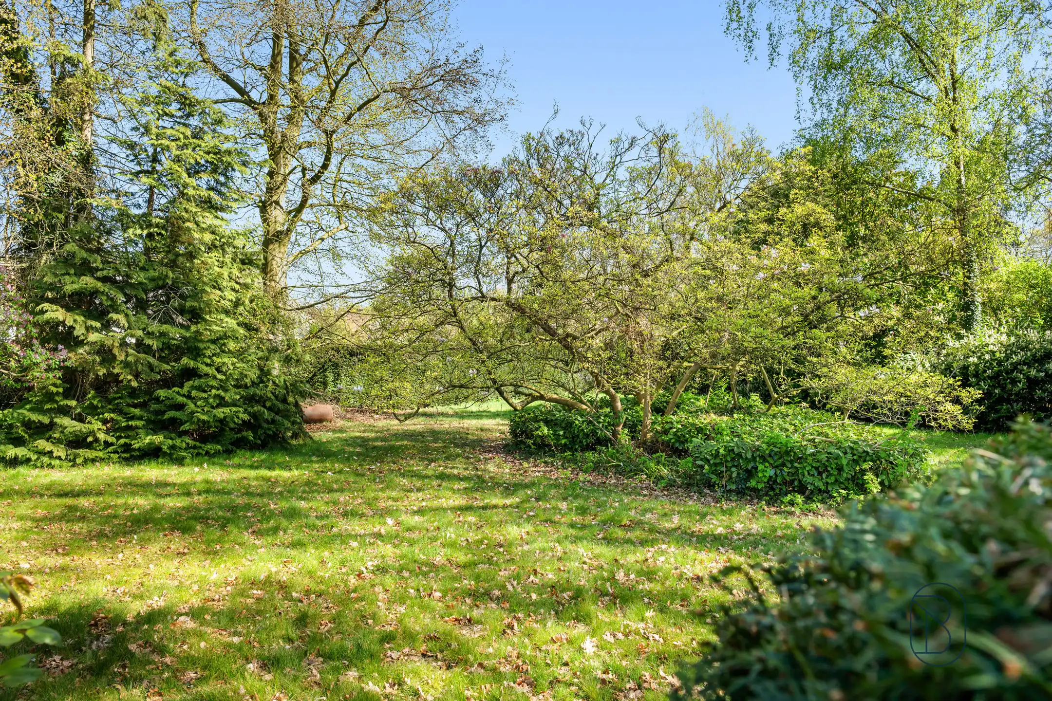 Topgelegen in de Rodenburg: te renoveren/af te breken villa foto 7
