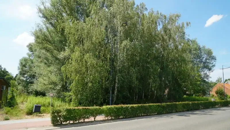 Bouwgrond 8 are 50 ca voor open bebouwing vlakbij centrum en met mooi achterzicht op groene omgeving foto 7