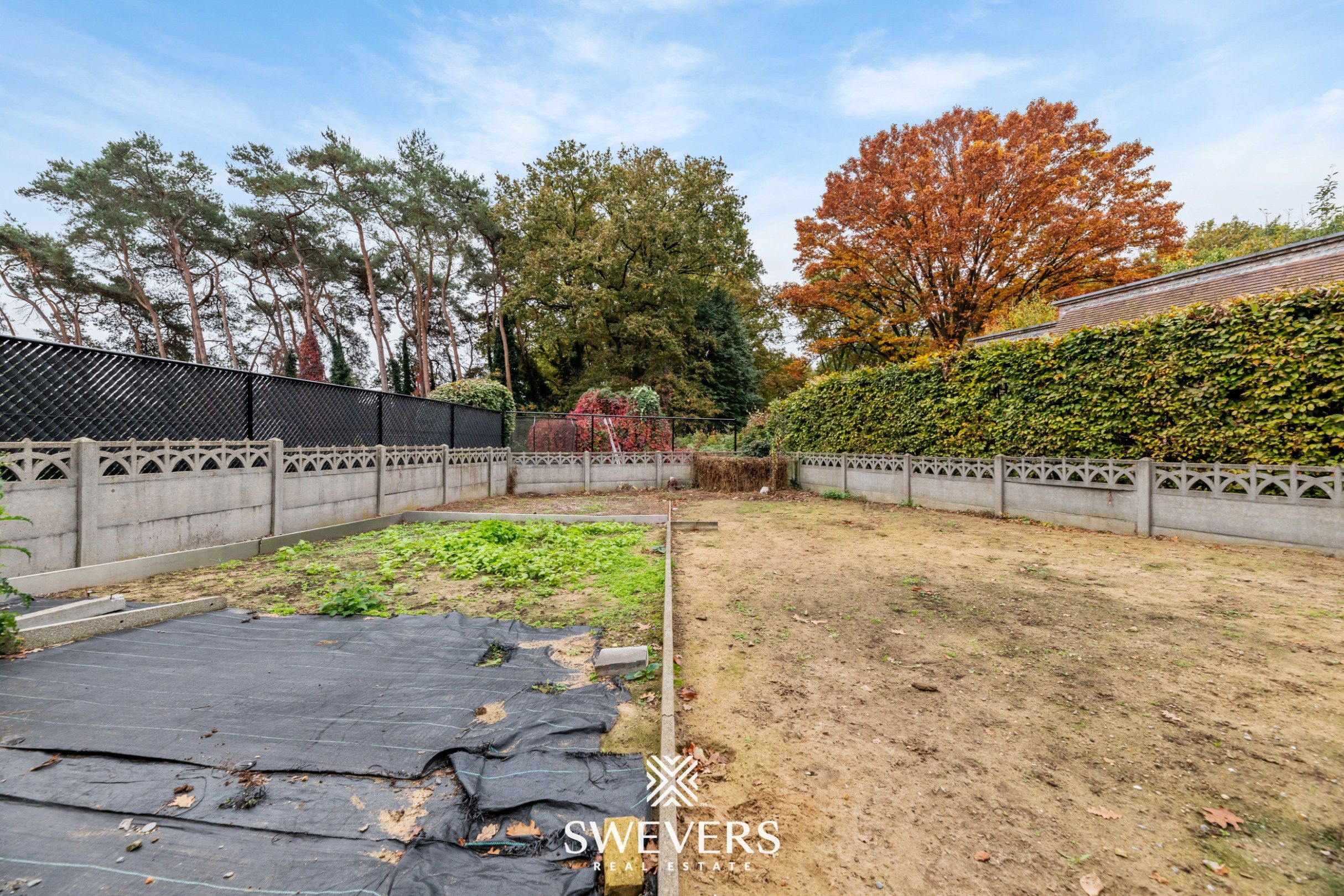 Instapklare gezinswoning met 3 slaapkamers, ruime kelder en zuidgerichte tuin in Beringen foto 28