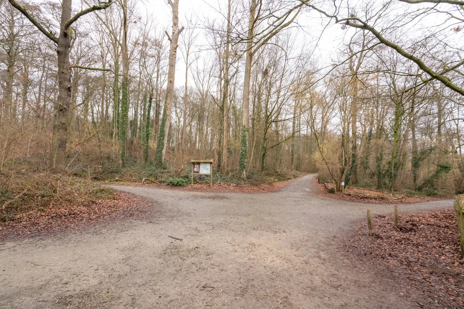 Appartement met 1 slaapkamer tegenover het Dieleghembos foto 12