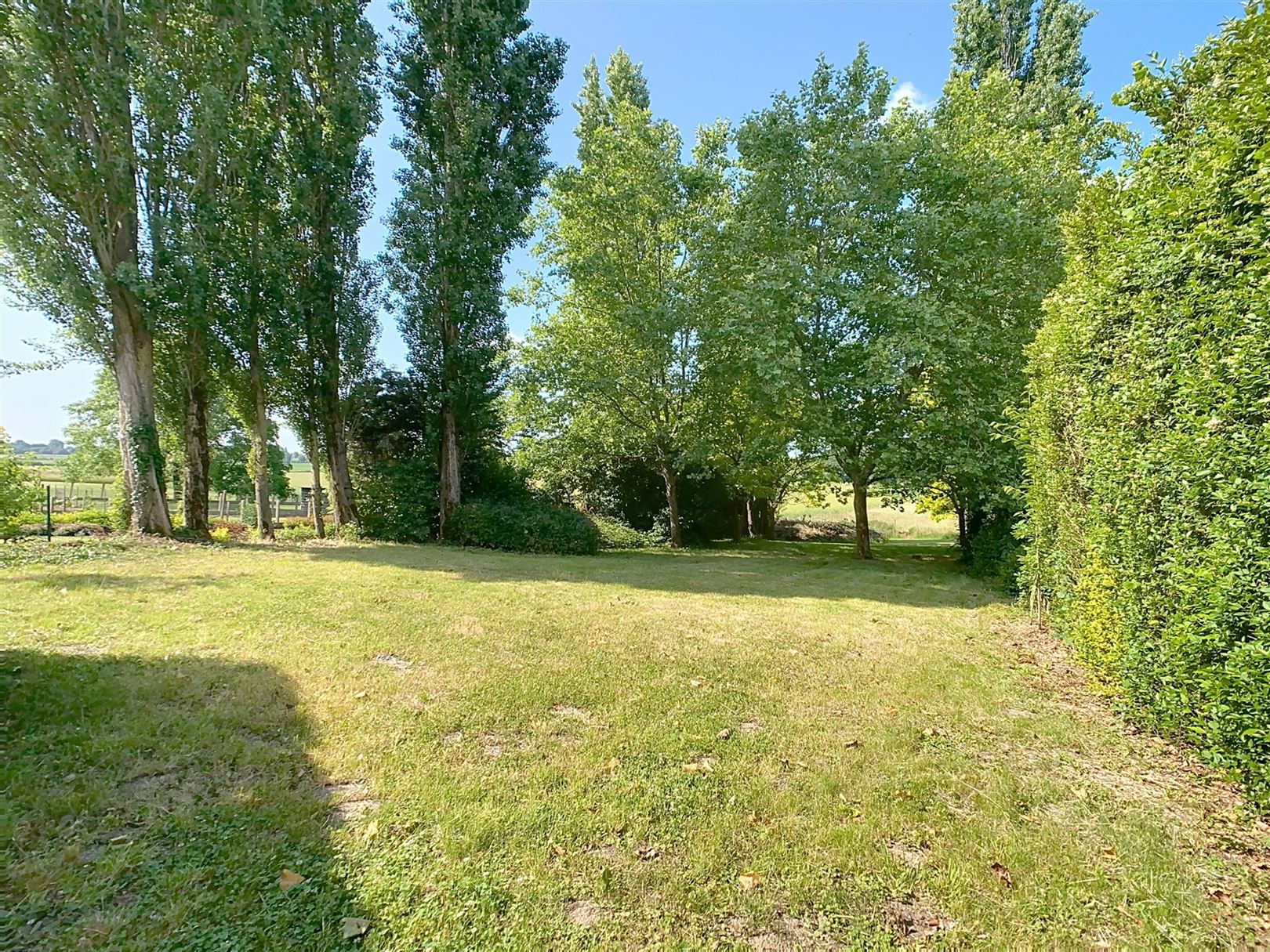 Ruime op te frissen woning, 4 slpks, tuin, weide, 46a 81ca foto 37