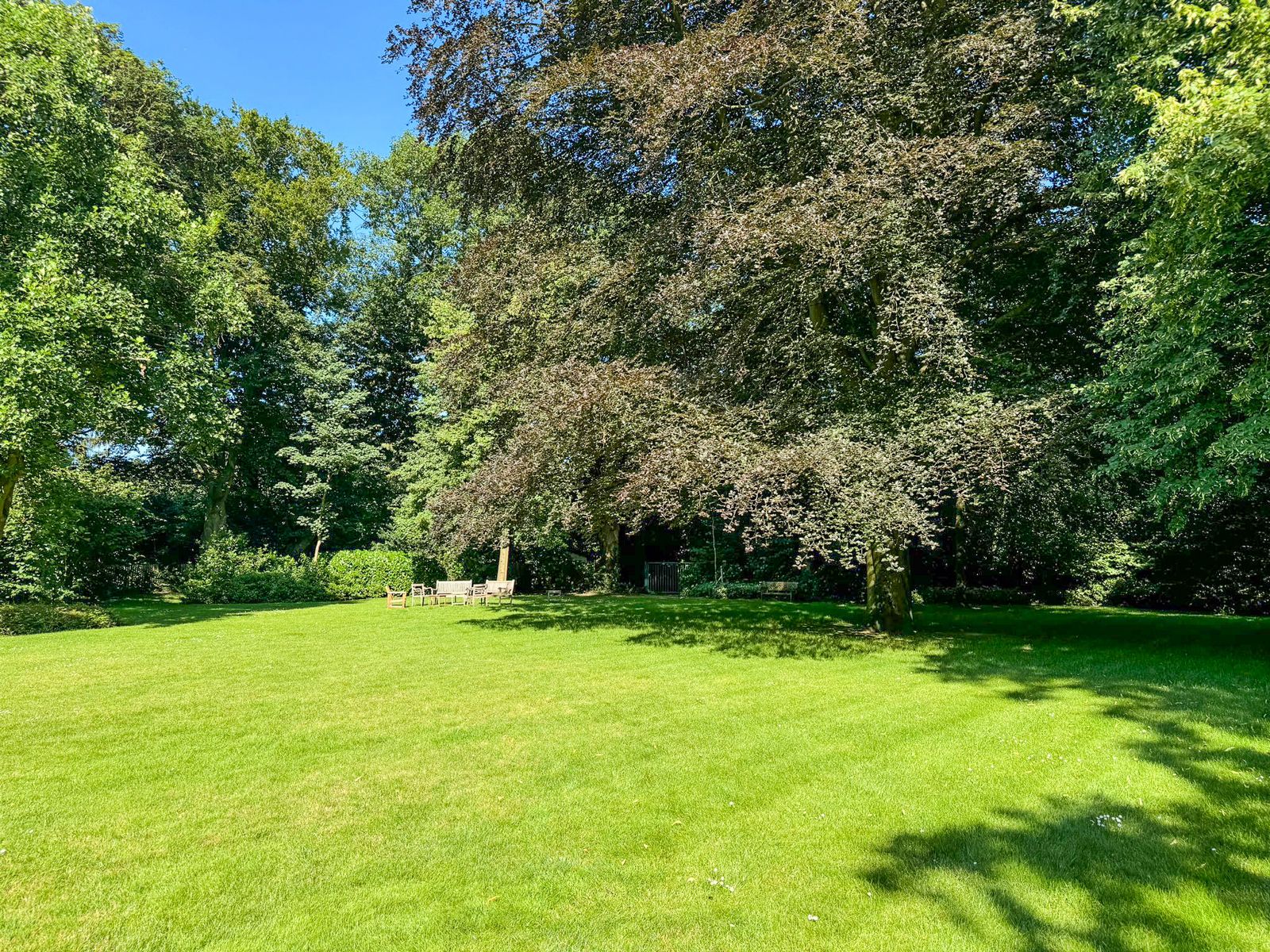 Gelijkvloers appartement met tuin te koop in schilde foto 3