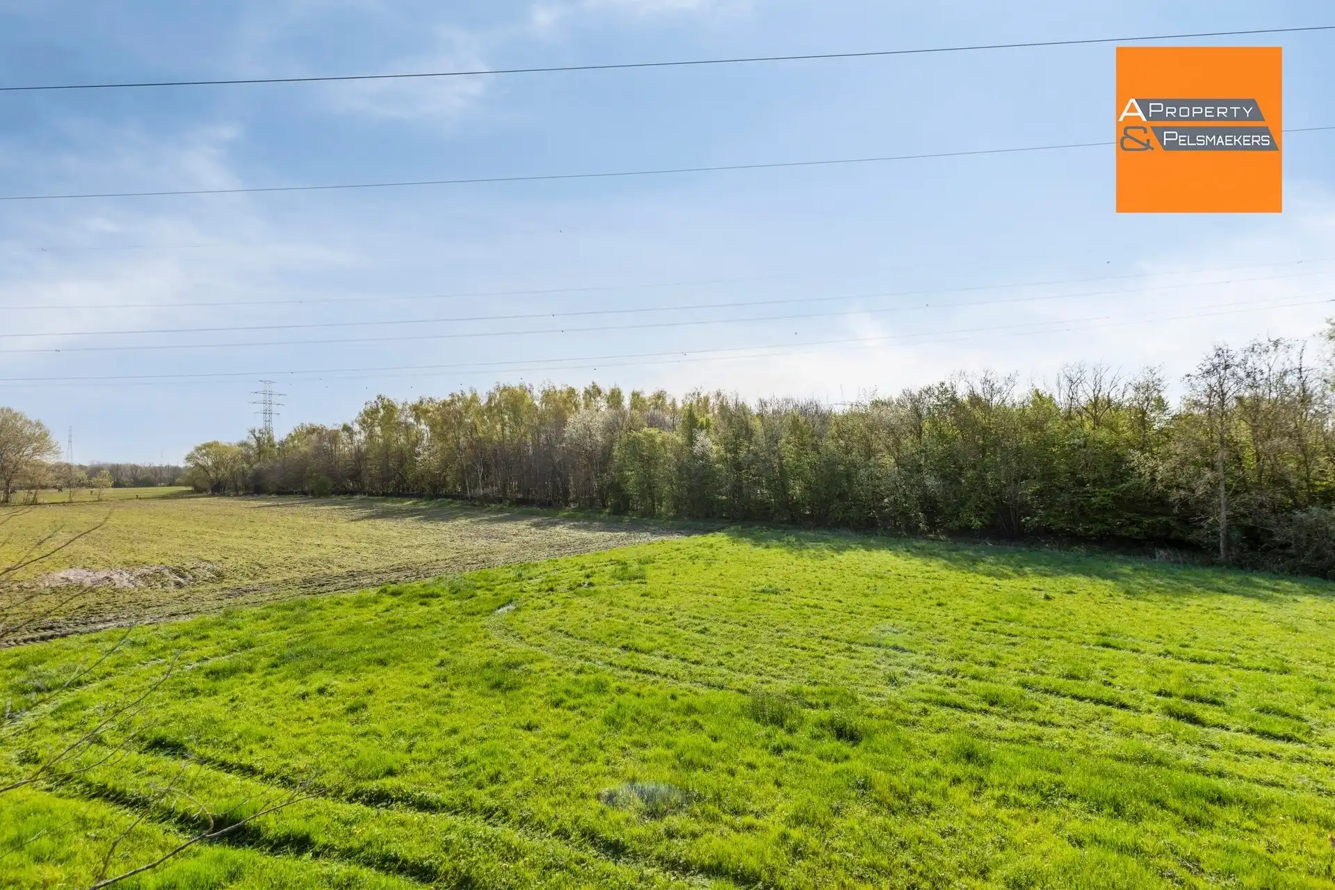 Instapklare, lichtrijke woning op topligging nabij natuurgebied Dorent foto 27