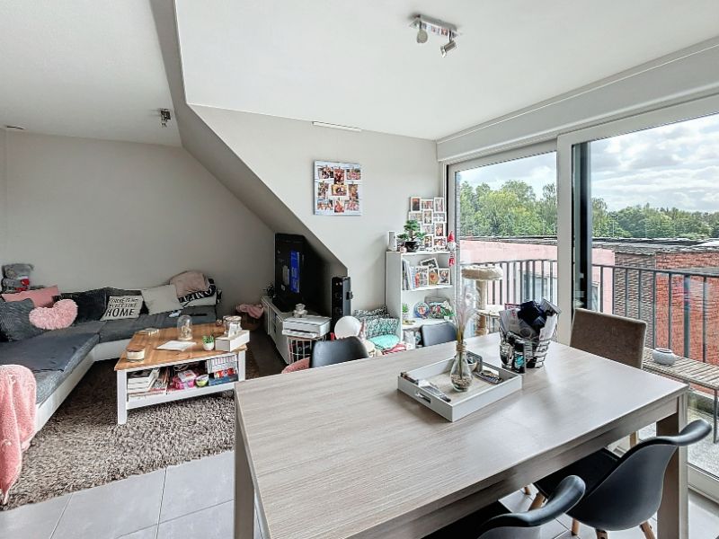 Gezellig DAKAPPARTEMENT met 1 slaapkamer en alle comfort foto 8