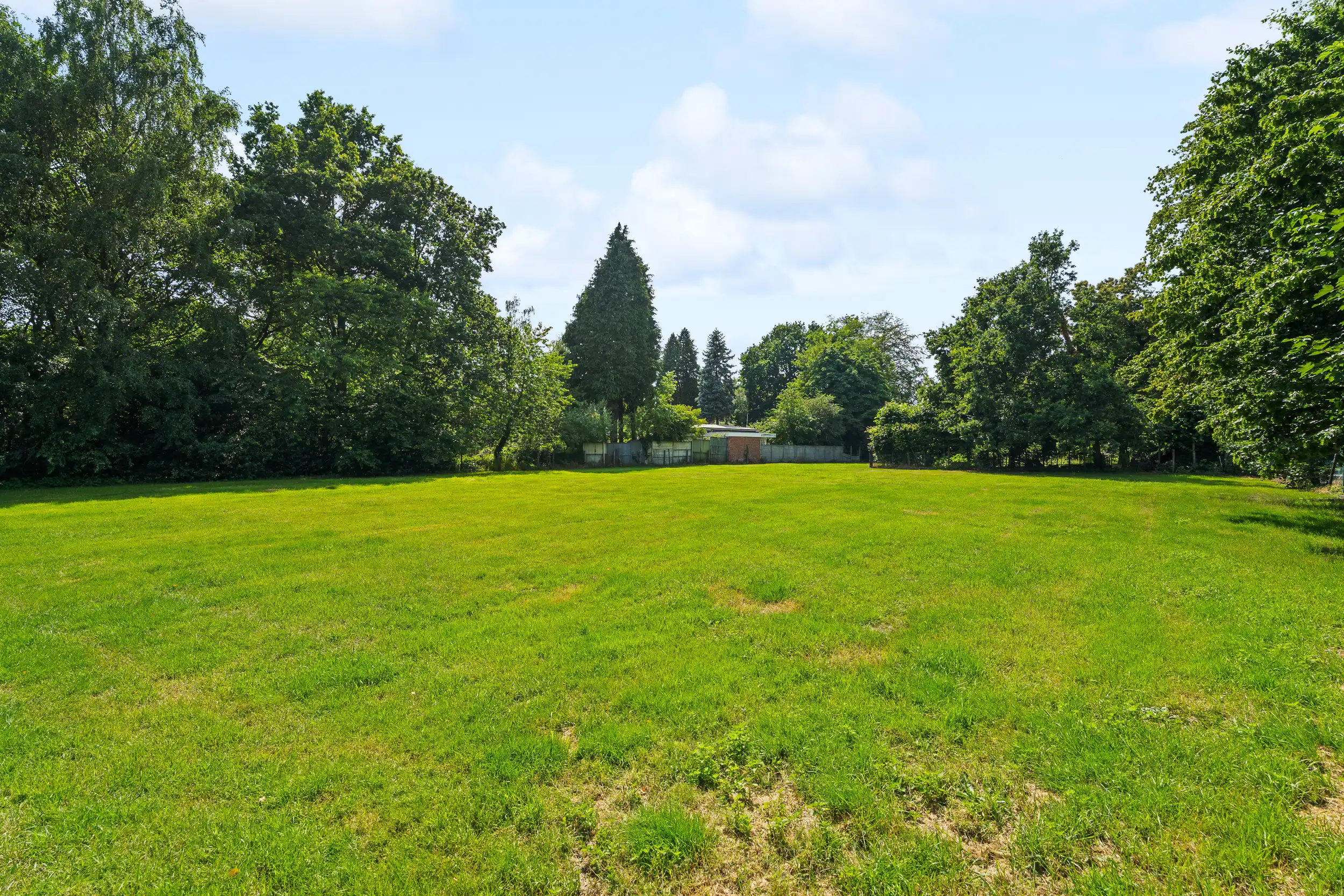 Gerenoveerde woning + achterliggend perceel ( 3.359 m²) foto 6