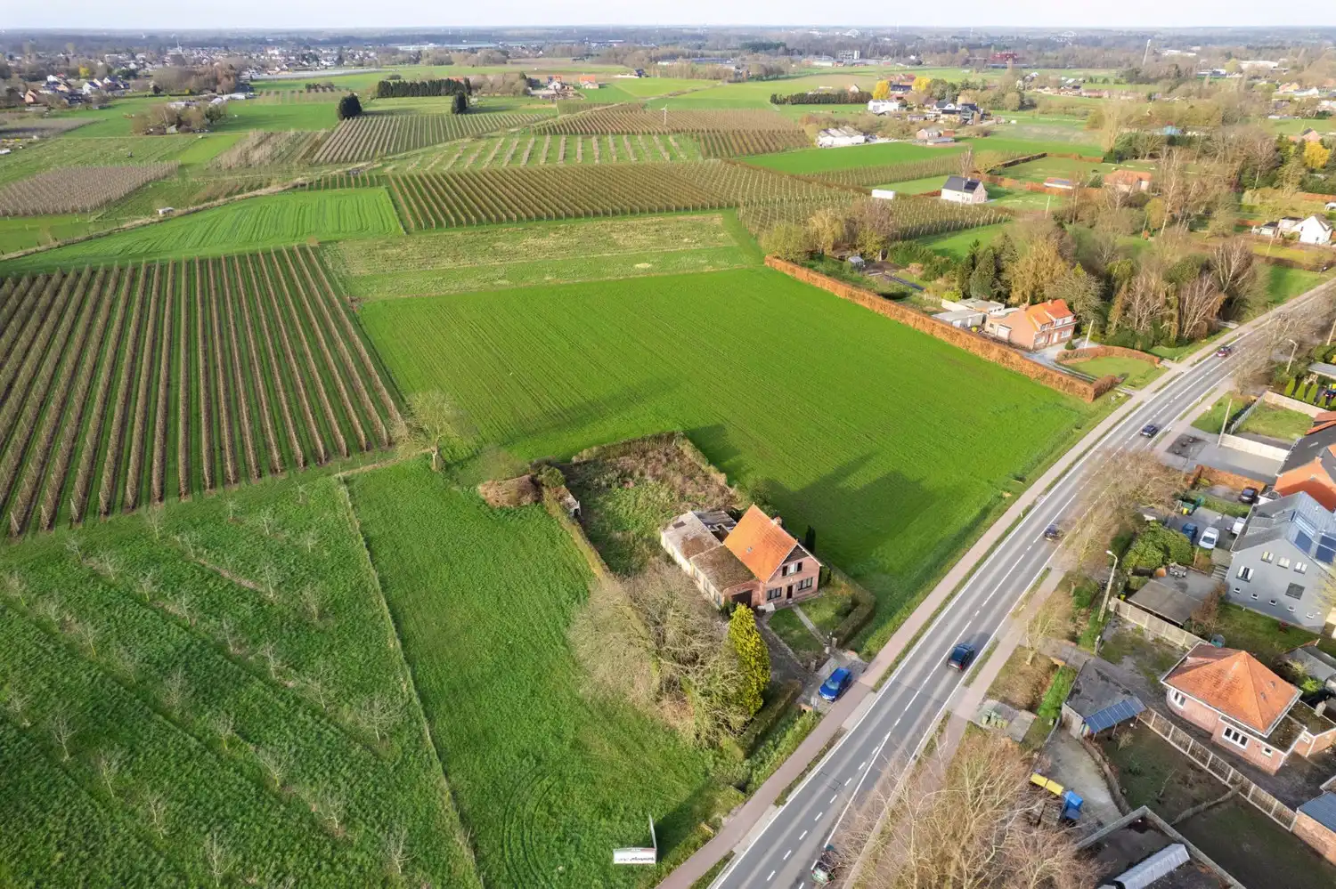 TE RENOVEREN WONING OMGEVEN DOOR AGRARISCH GEBIED! foto 3