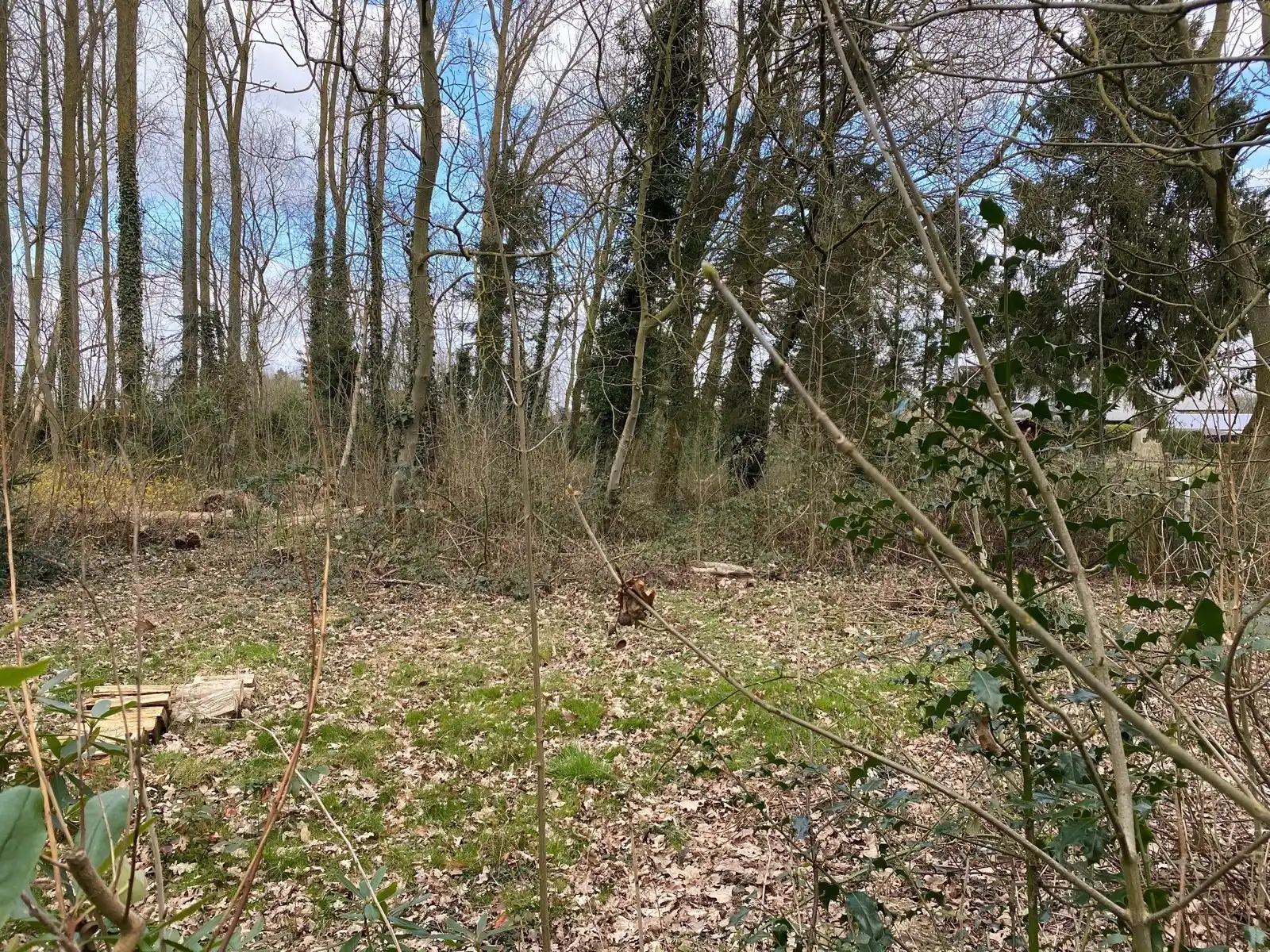 Centraal gelegen bouwgrond voor drie-gevel foto 4