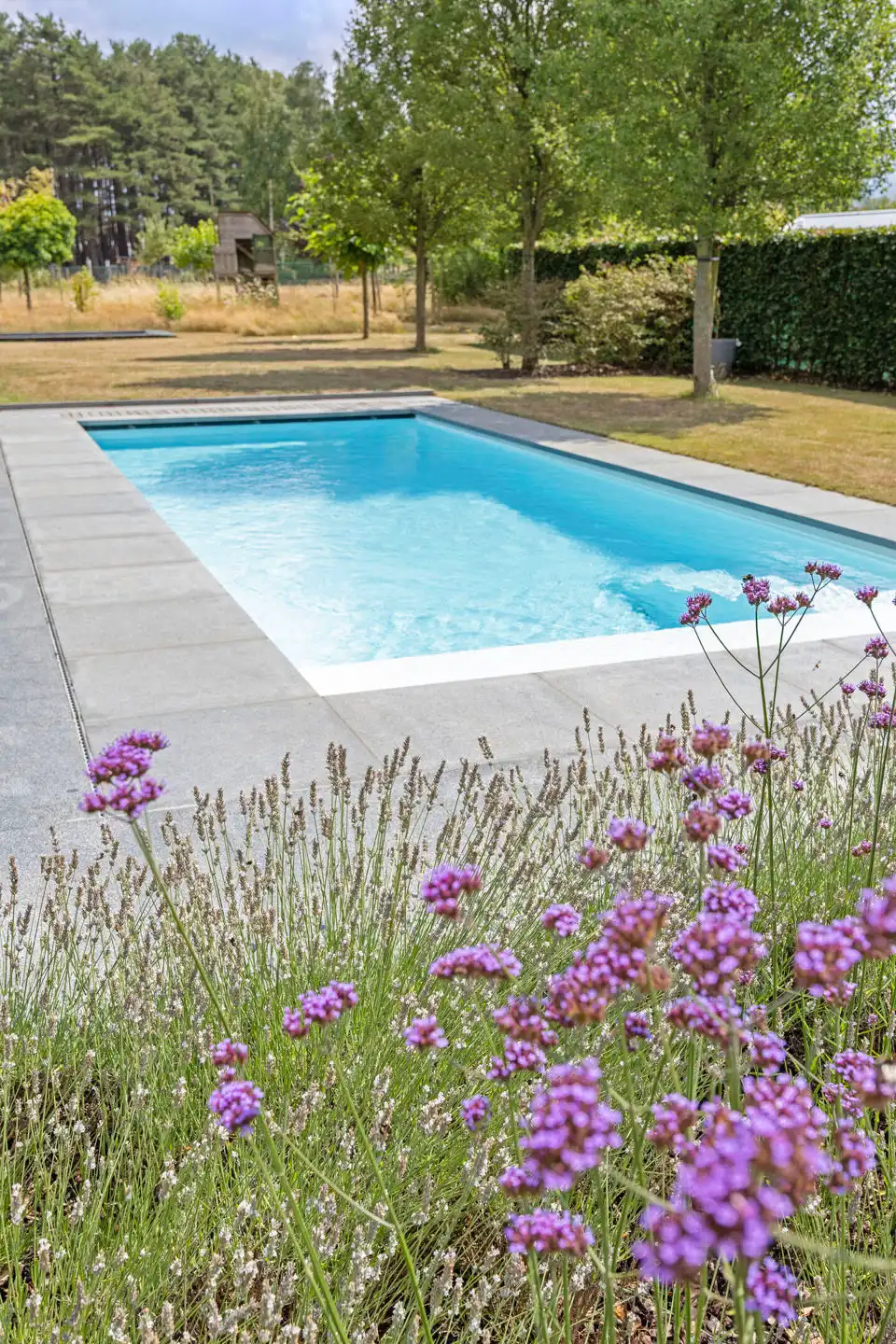 Exclusieve villa met zwembad foto 33