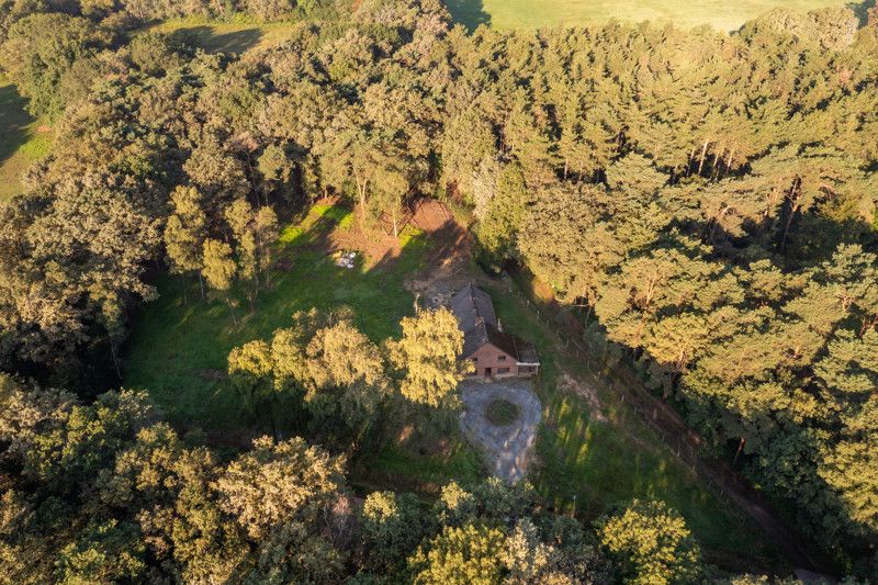 Uniek gelegen renovatieproject op 1,8 ha foto 40