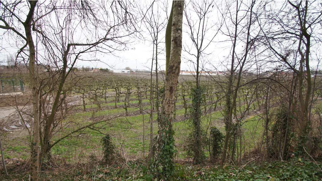 Residentiële bouwgrond OB van 10 a 15 ca vlakbij centrum aan boomgaard en plein foto 5