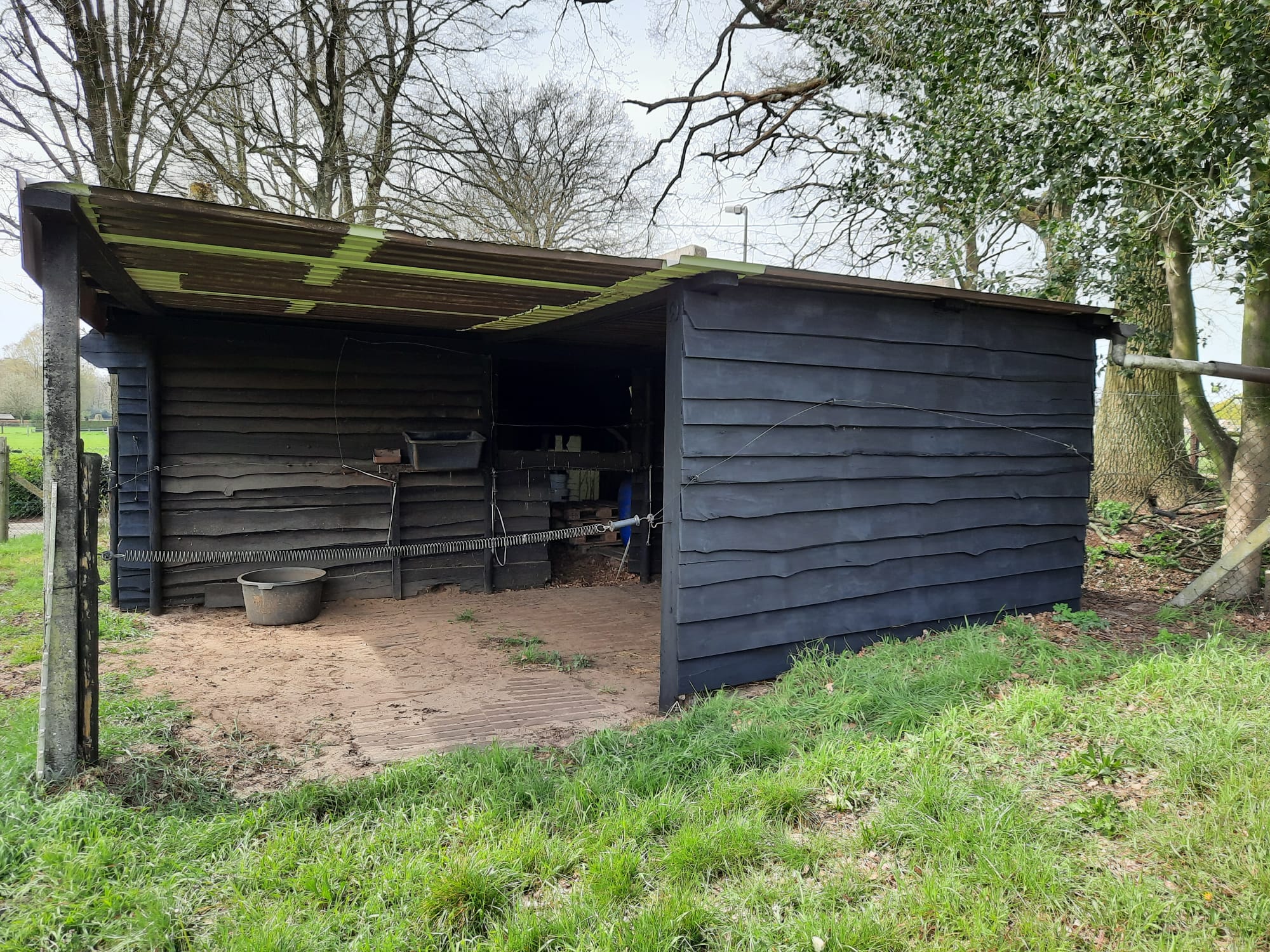 Mooie omheinde weide met schuilstallen te Helchteren  foto 3