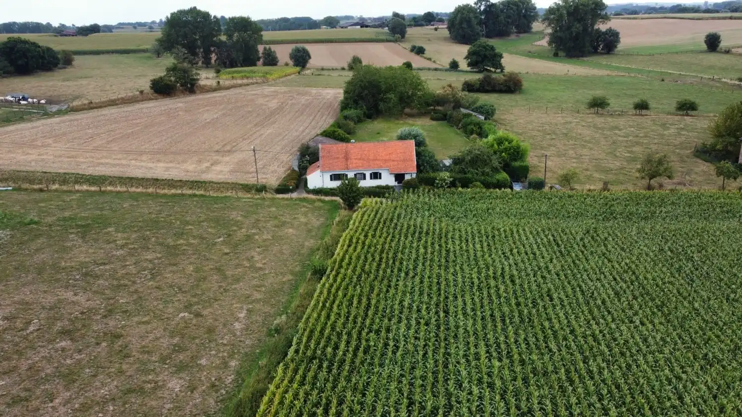 Charmante woning in hoevestijl op een perceel van 32a75ca foto 37