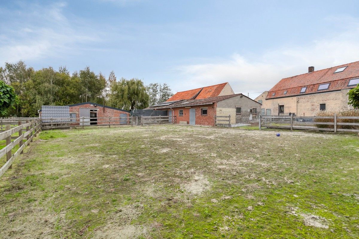 Ruime instapklare hoeve met diverse bijgebouwen foto 25