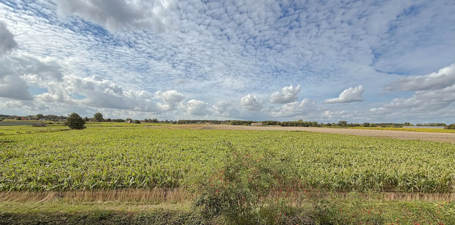 Landelijk wonen in alle rust op een bijzondere site foto 25