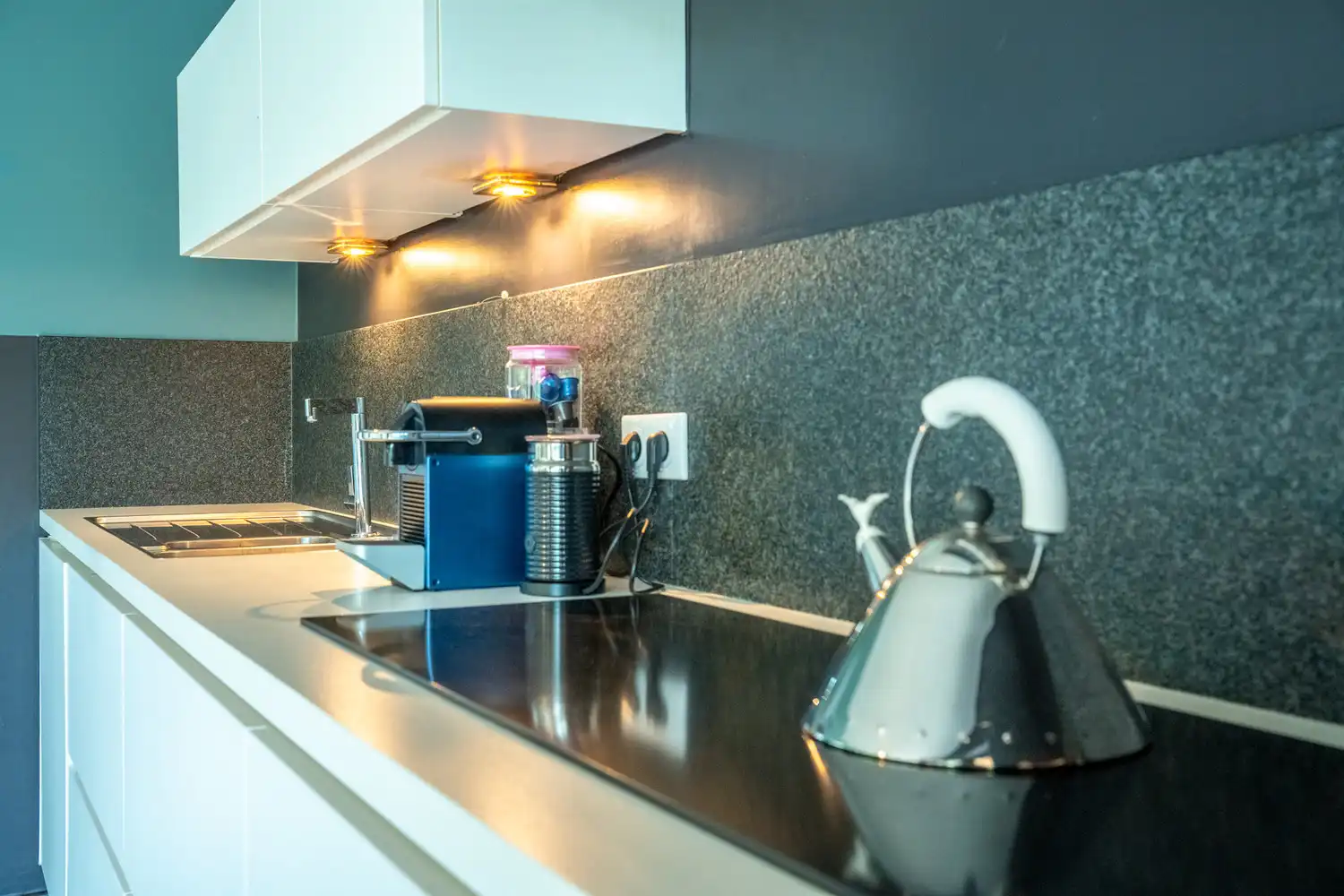 Een zonovergoten woning met aangelegde tuin en vijver, met instelprijs. foto 9
