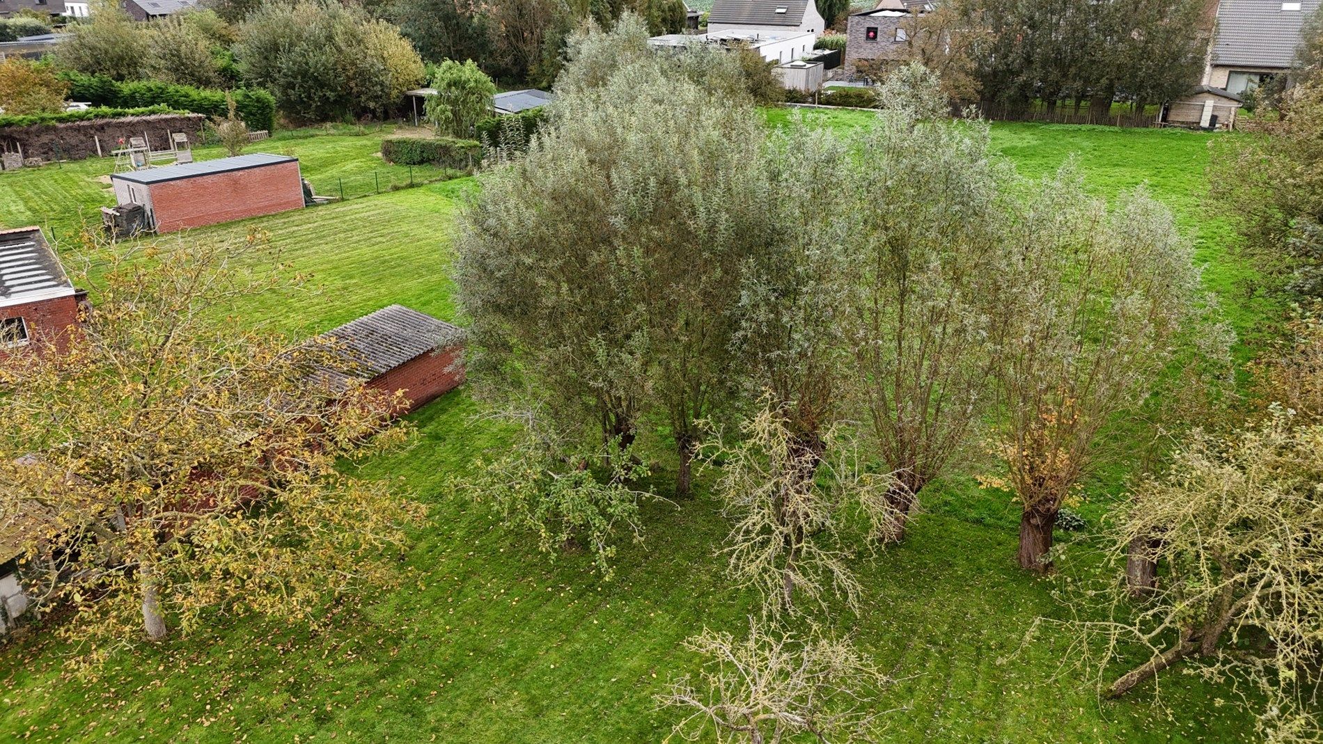 Te renoveren woning met 3  slaapkamers en bijhorend stuk grond te Koekelare  foto 9