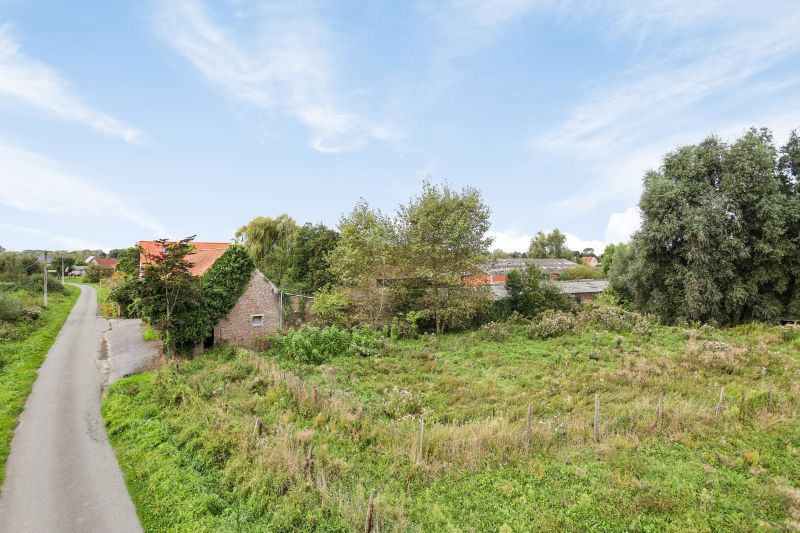 Te koop in het rustige Kruisem: een uniek domein van 5 hectare! foto 10