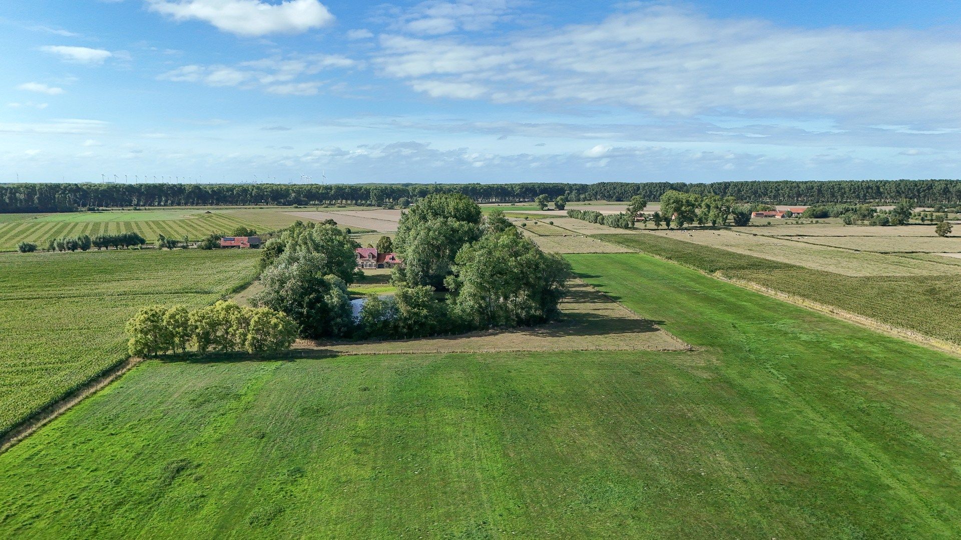 Hoeve schitterend gelegen te Damme foto 16