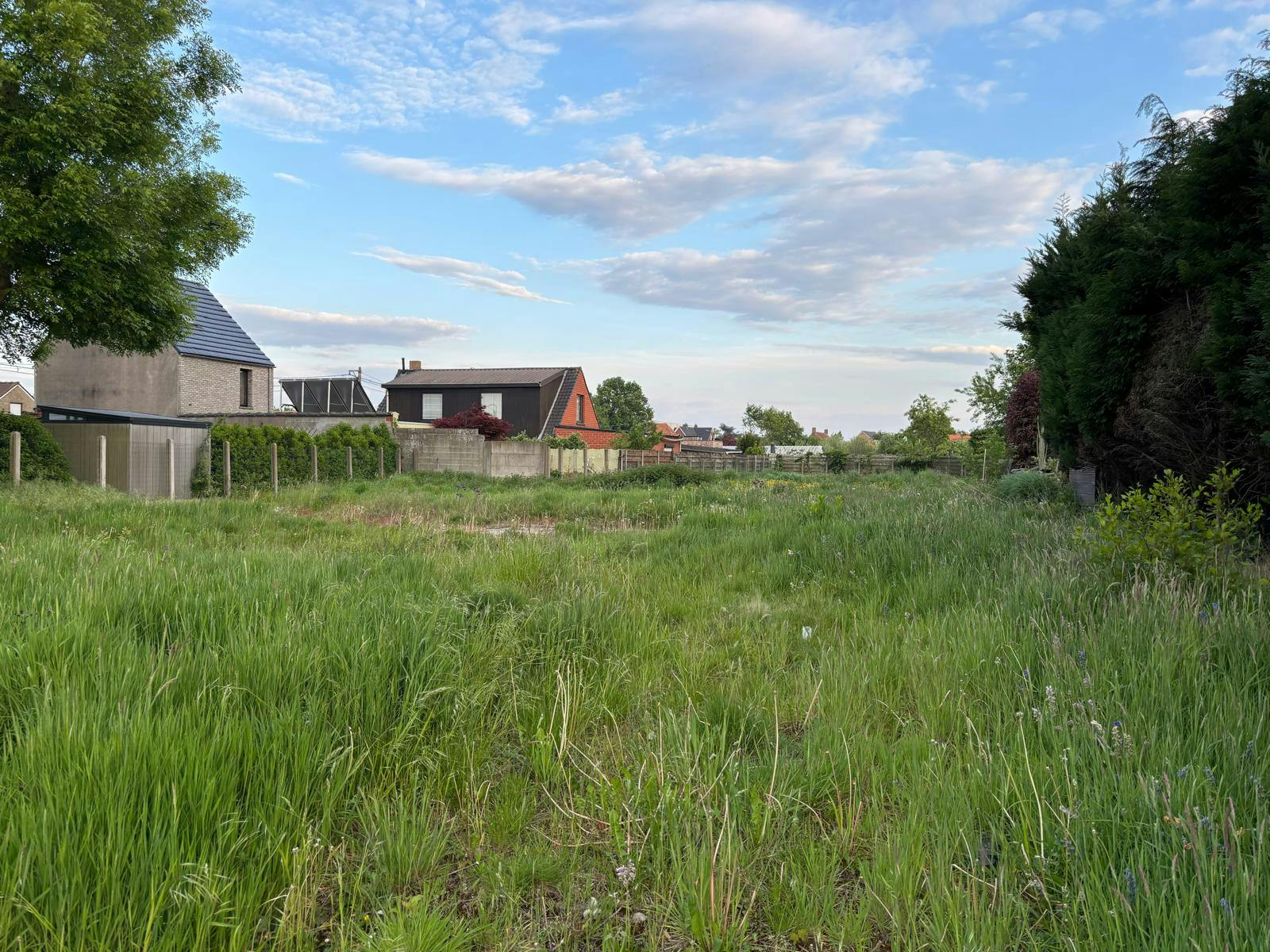 Bouwgrond van ca 1.025m² met veel mogelijkheden in Ardooie! foto 2