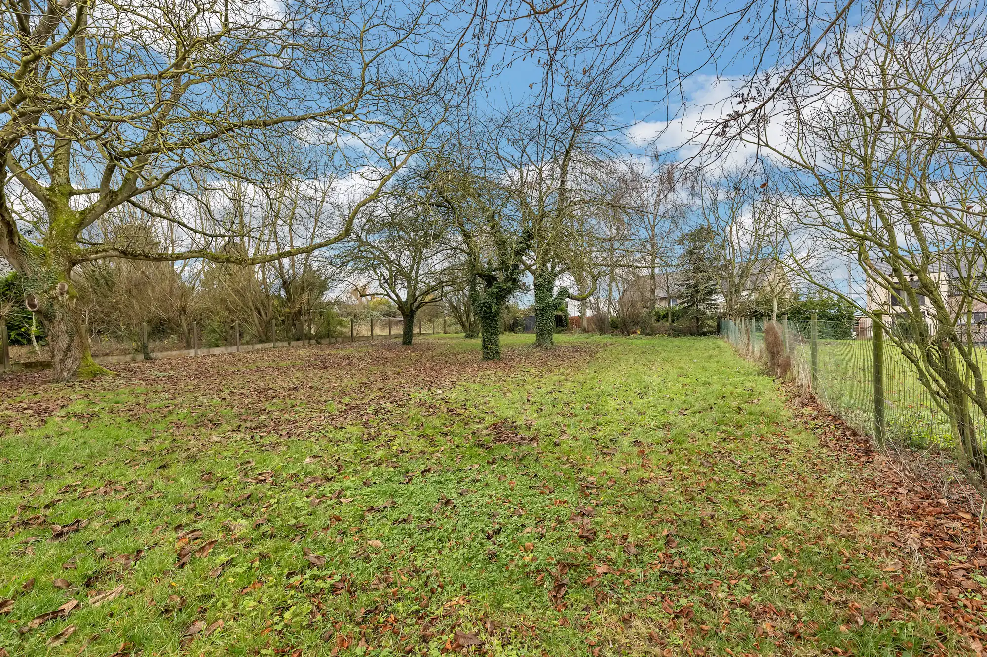 Bungalow op 23a25ca te Roosdaal foto 3