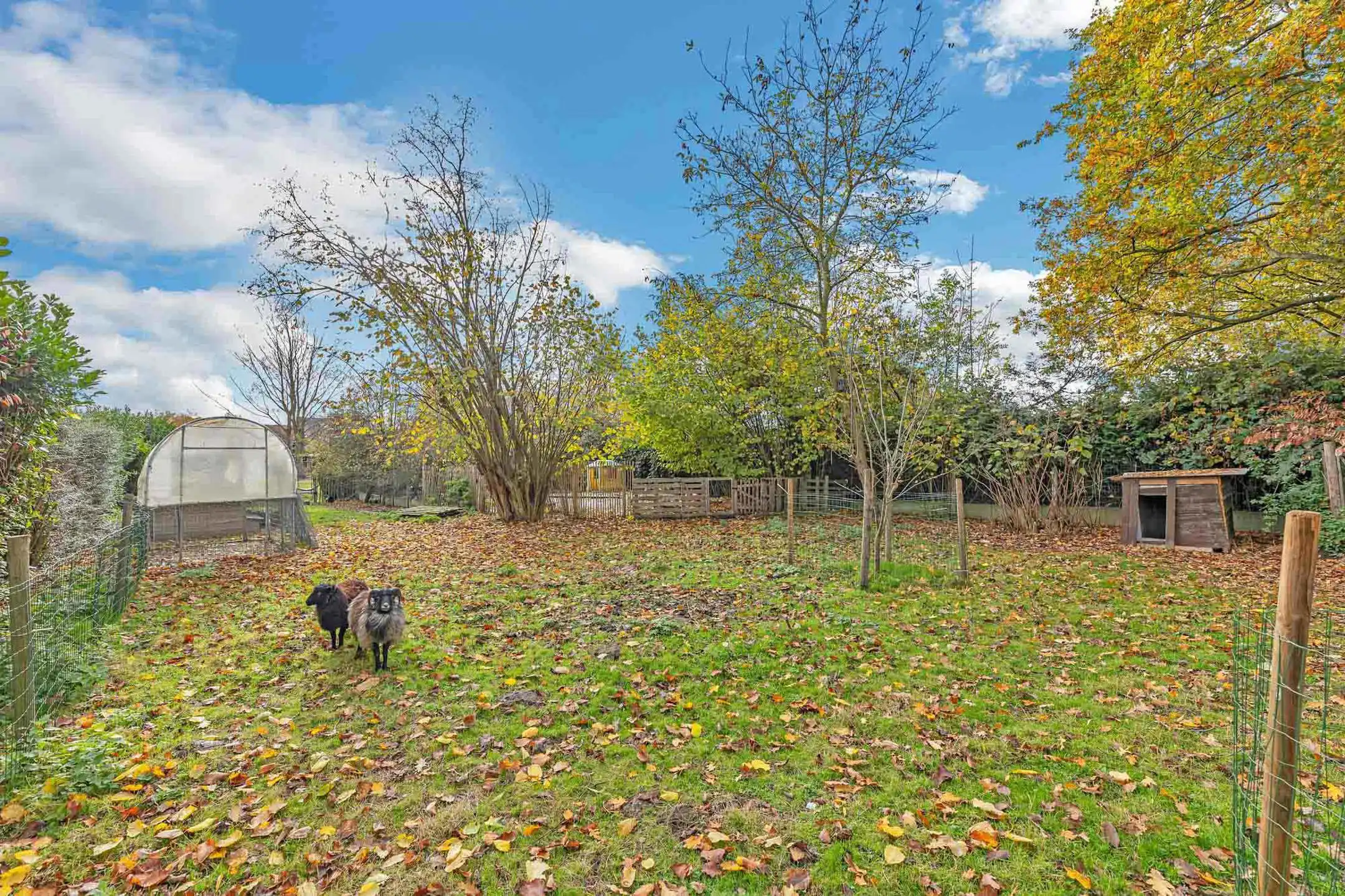 Gezellige woning met ruime tuin foto 31