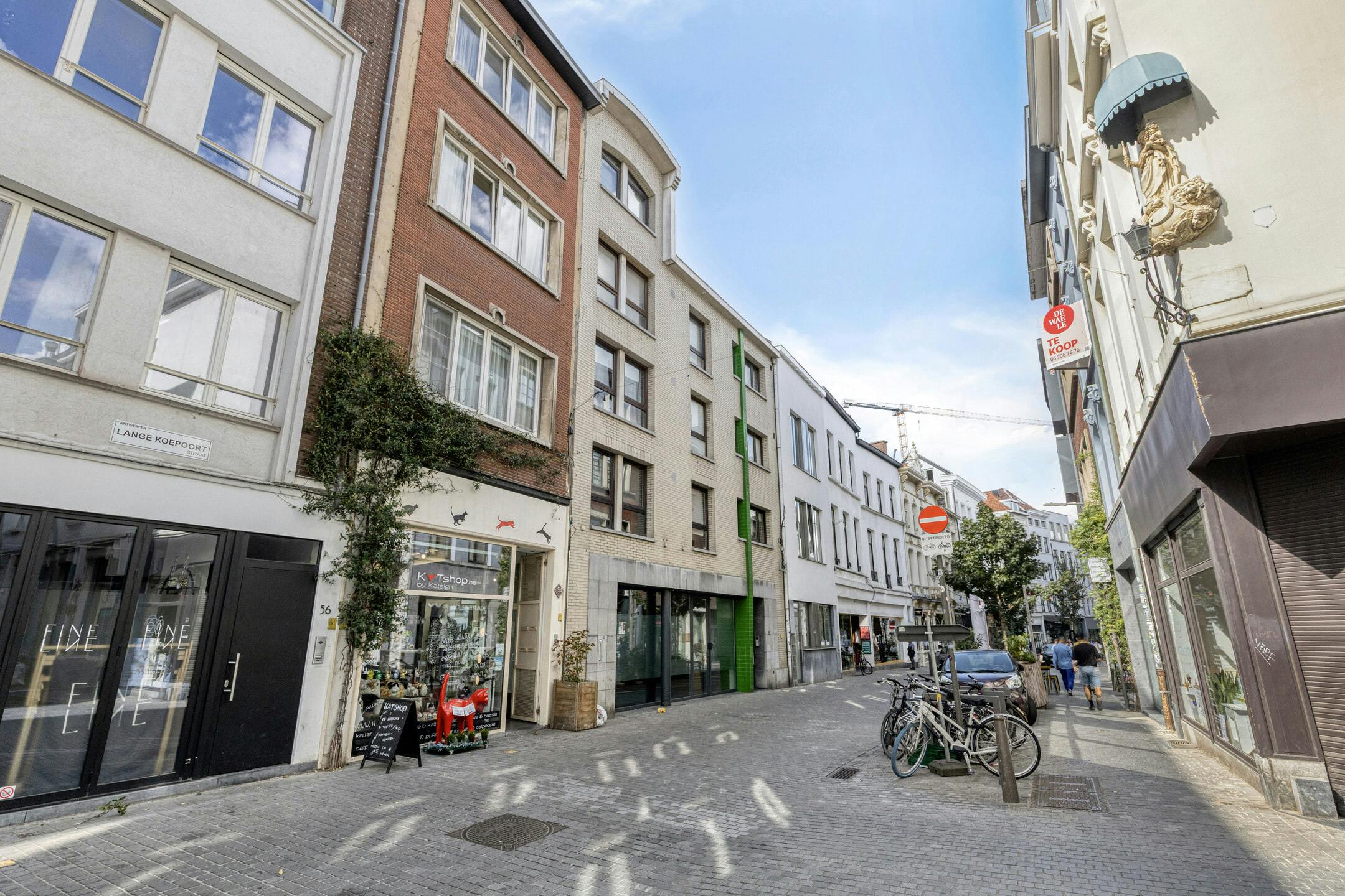 Duplex appartement van ca 142m² te koop in Antwerpen centrum foto 22