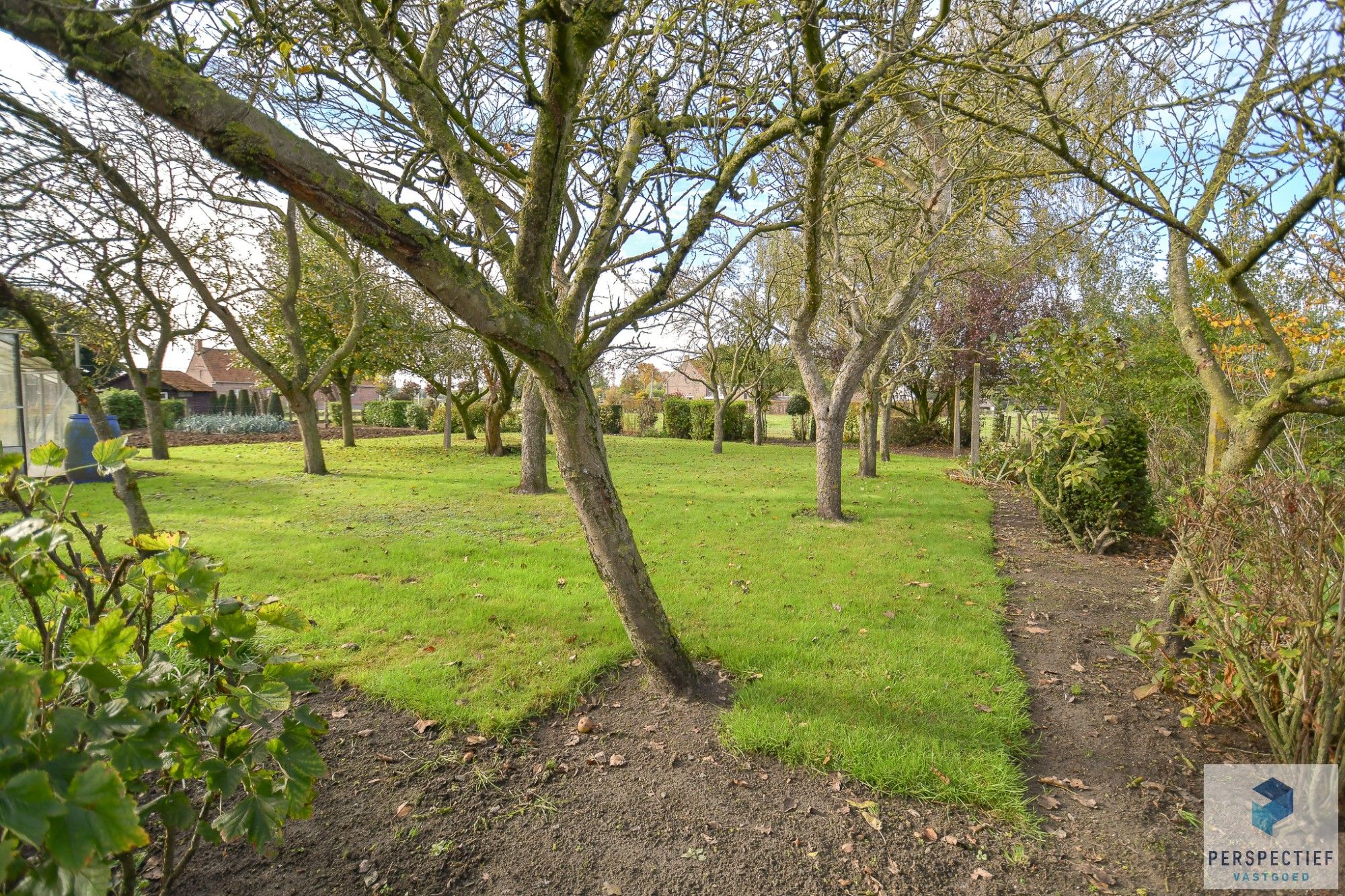 LANDELIJK GELEGEN WONING met SCHUUR  - BOOMGAARD - TUIN & MOESTUIN op 2138 m² foto 29