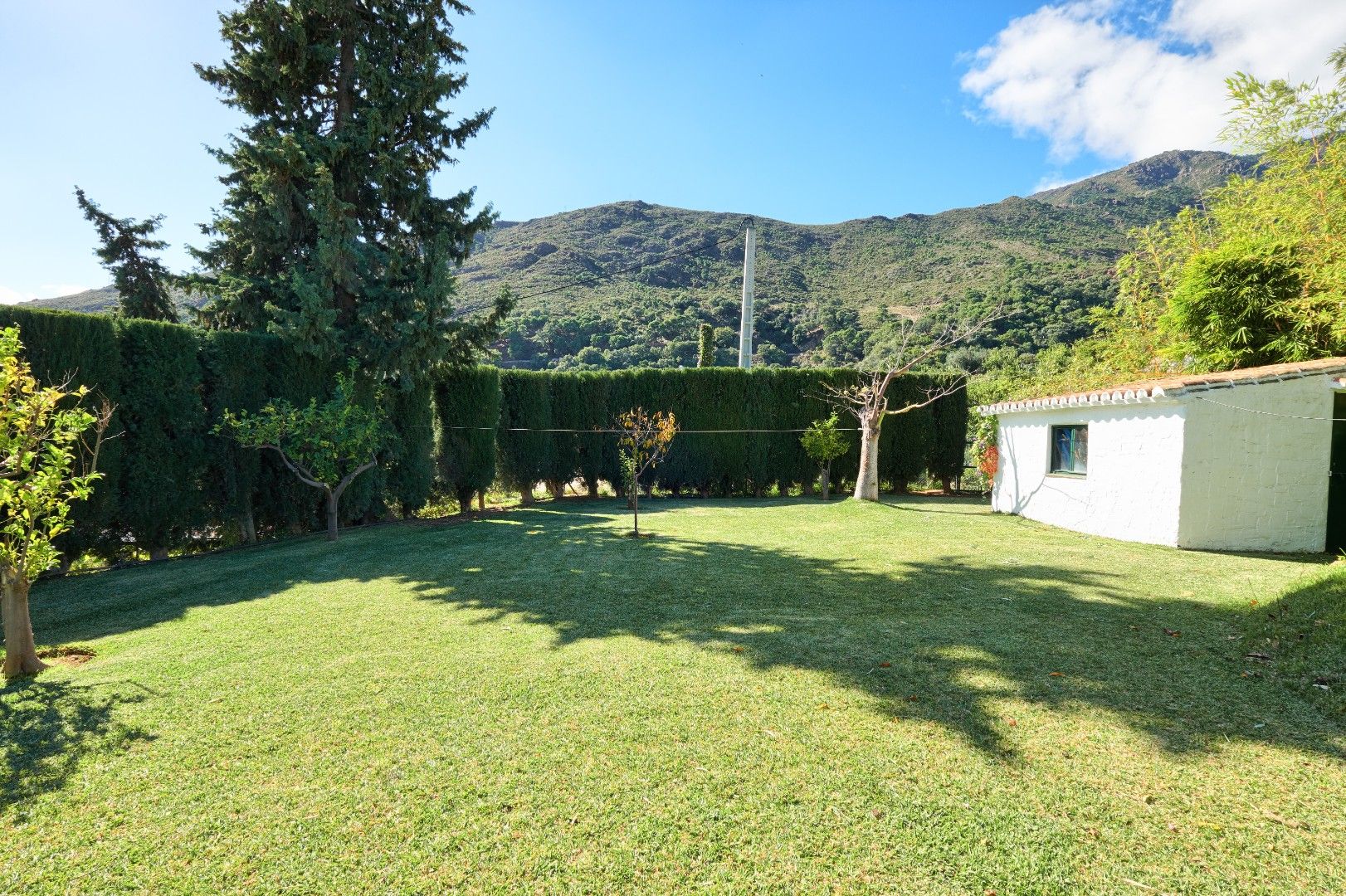 Finca dicht bij de Sierra Bermeja berg.  foto 23