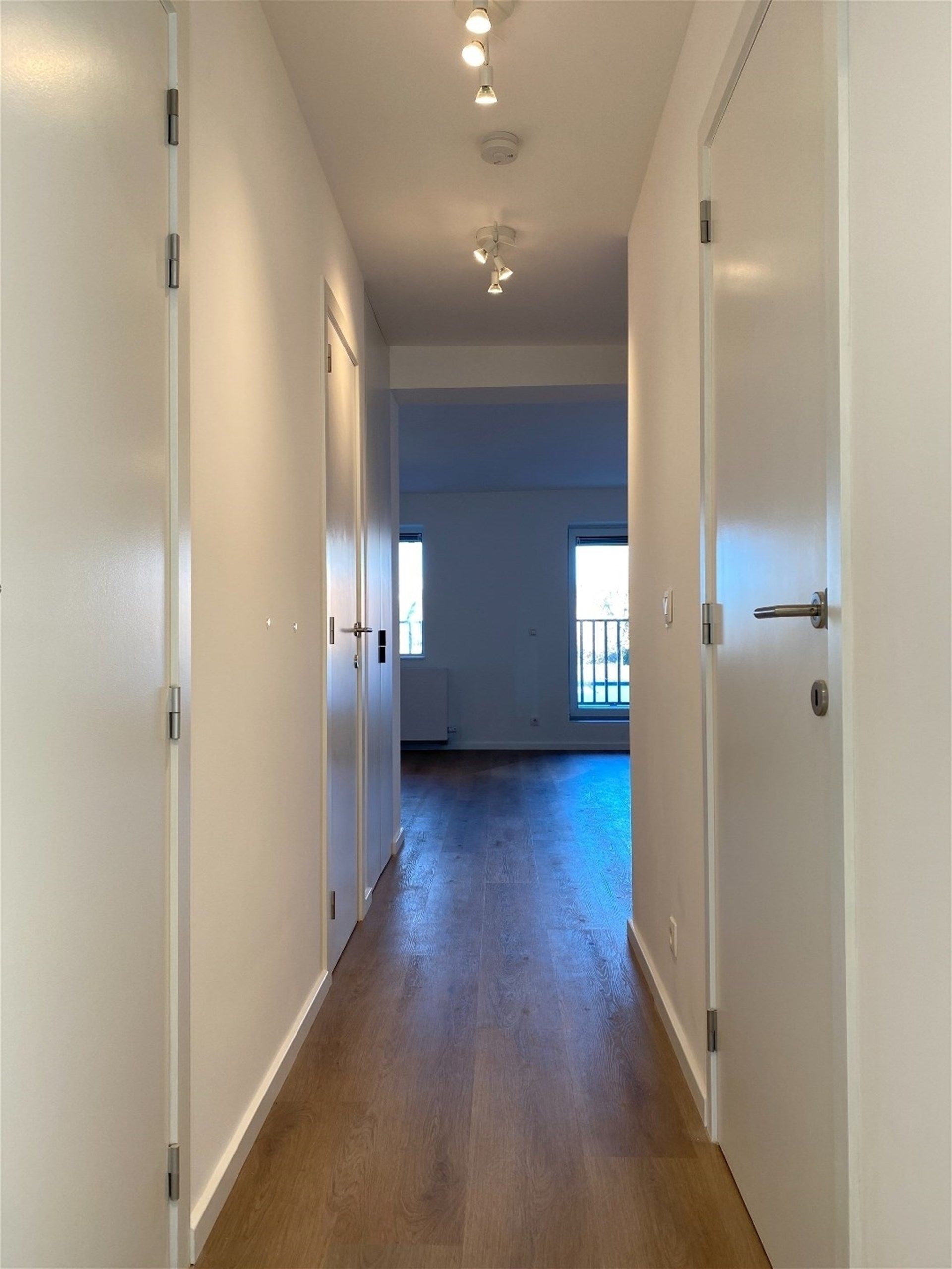 Totaal gerenoveerd, energiezuinige 2 slaapkamer appartement met terras. foto 4
