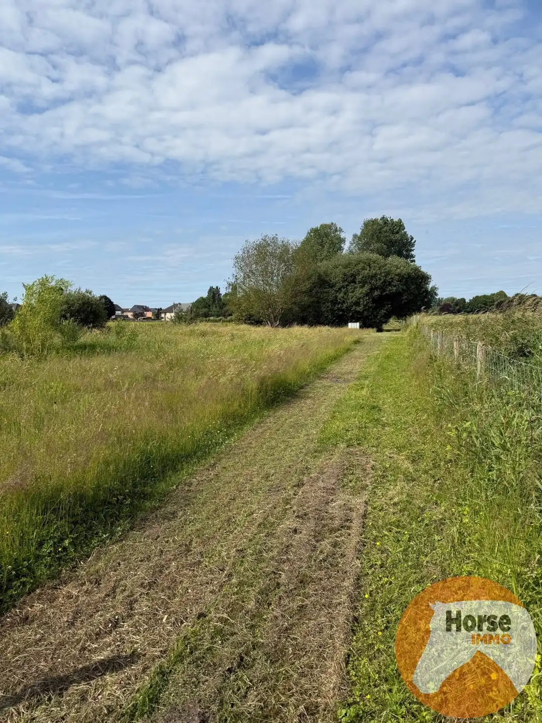 HUMBEEK - Droomplek voor paarden met weide, stallen en piste foto 7