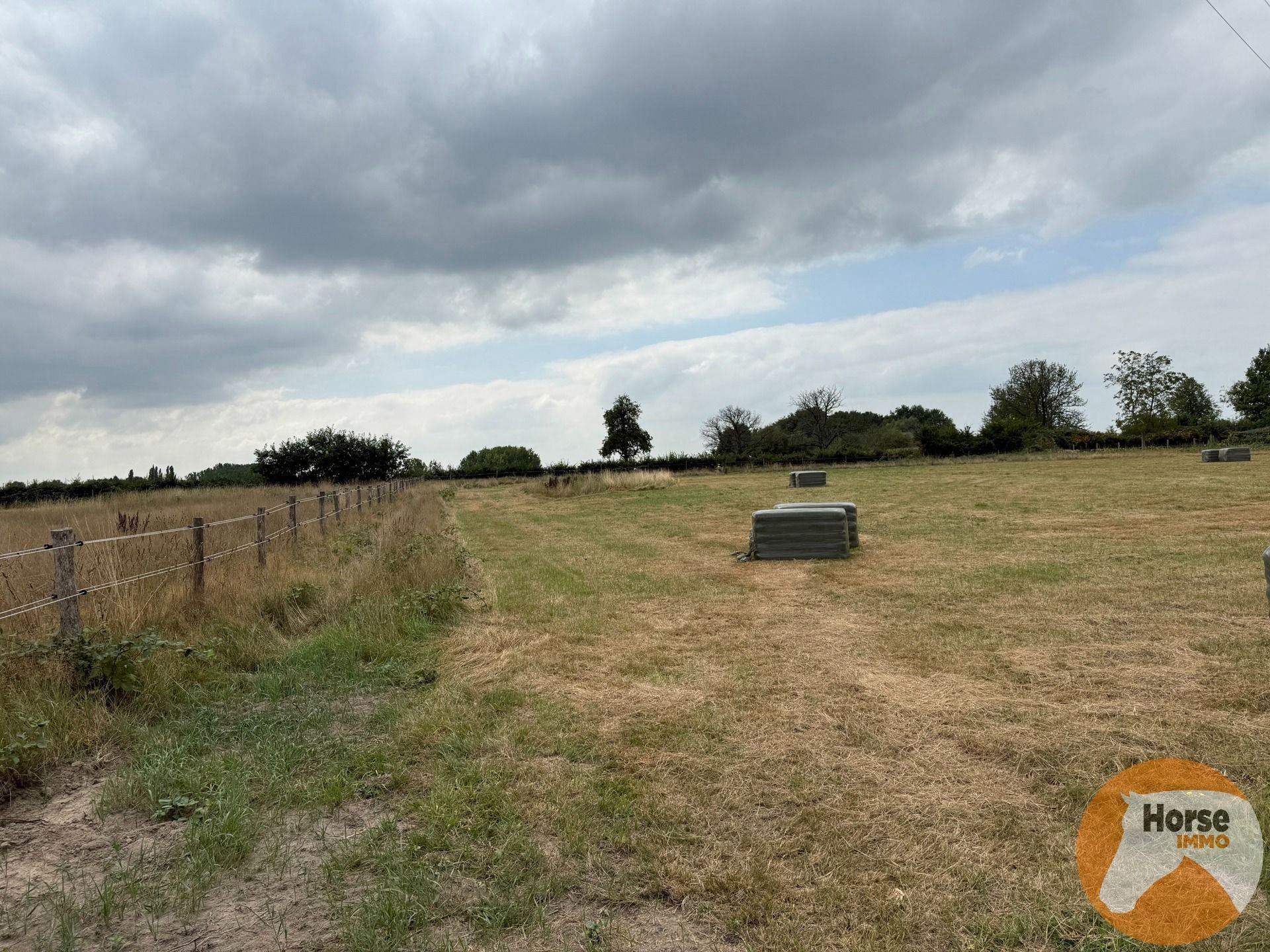 ROOSDAAL - Goed bereikbare weide op +- 1ha7a foto 2