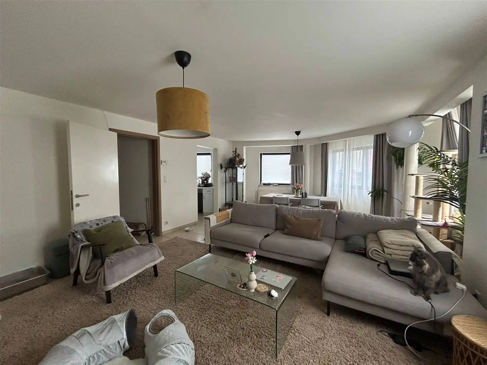 Appartement te huur Schapenstraat 134/0101 - 3000 Leuven