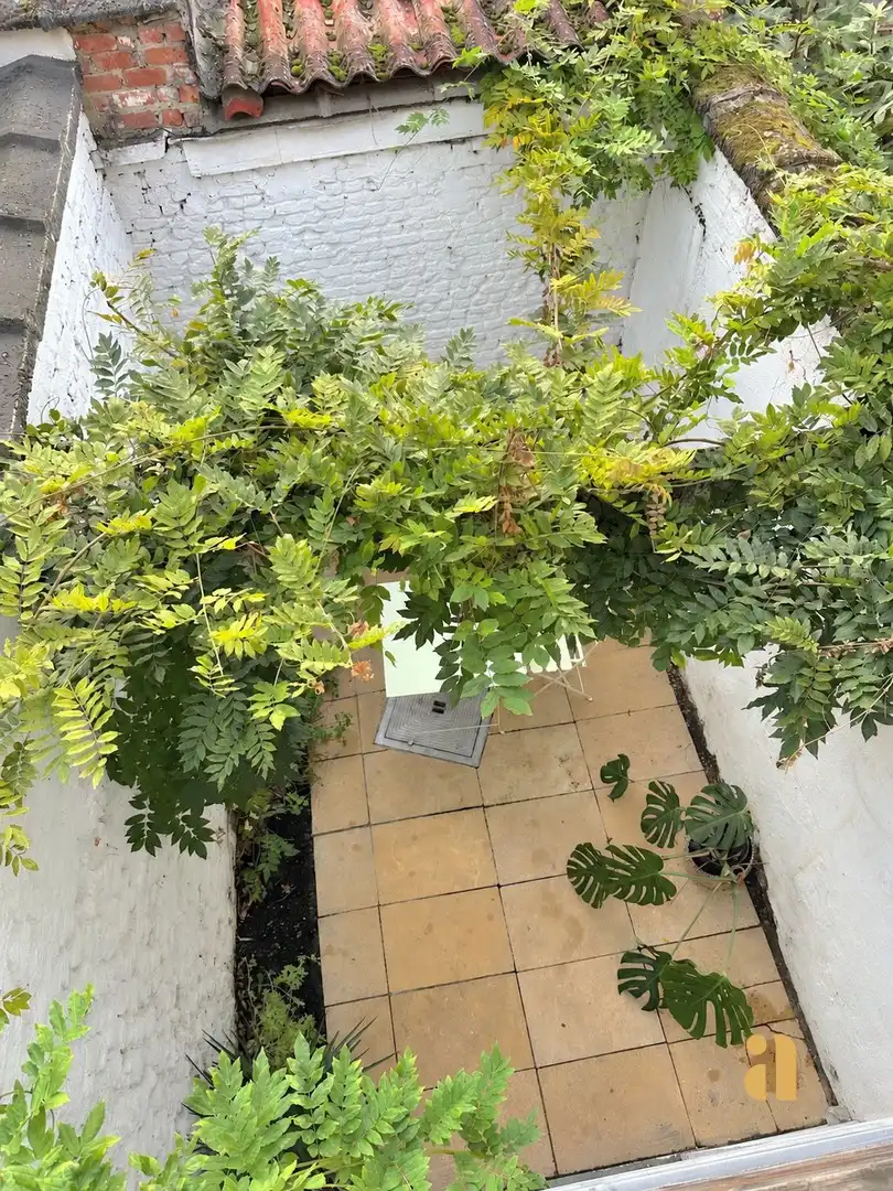 Toffe stadswoning met terras op een boogscheut van centrum foto 15