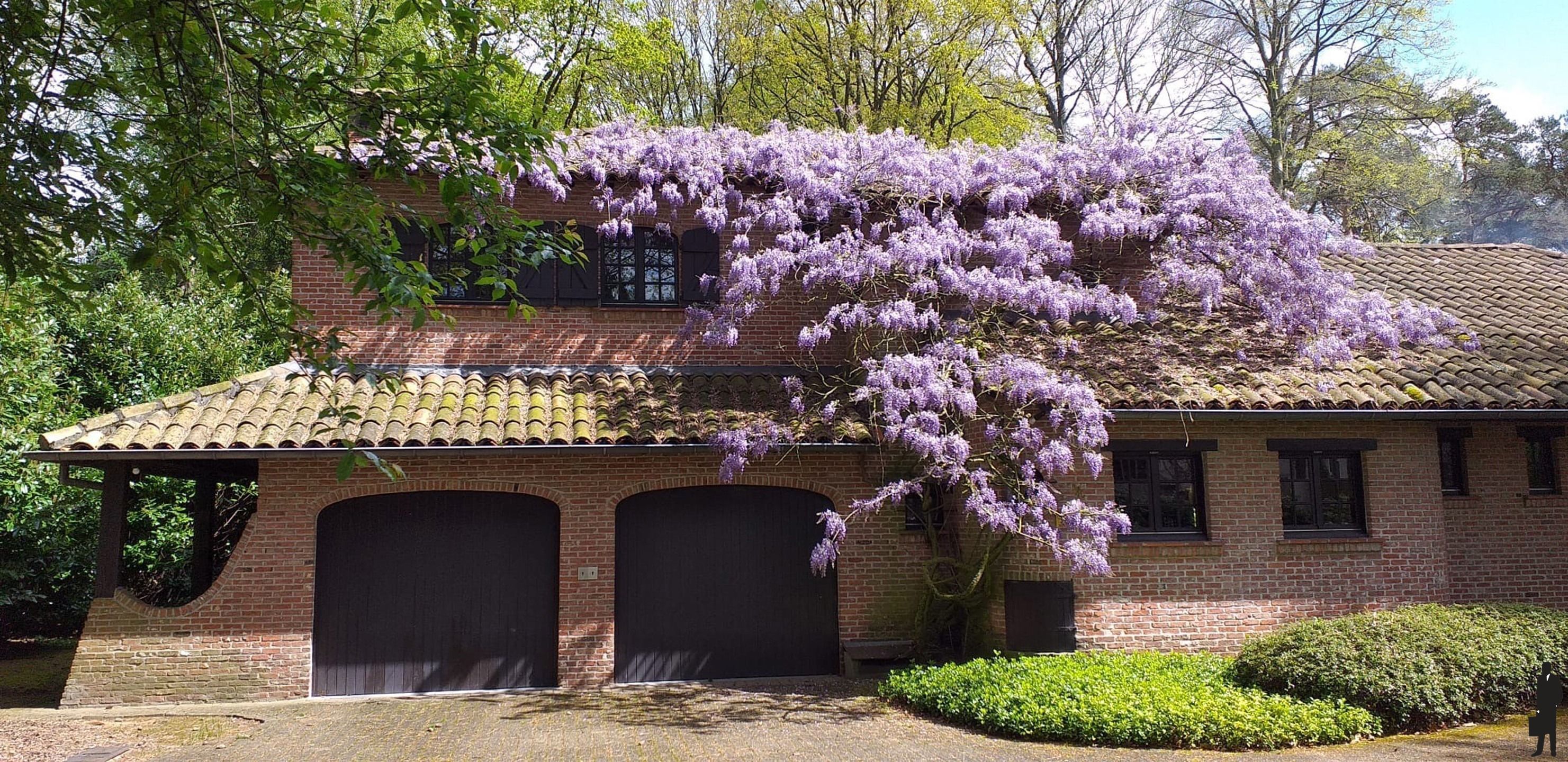 OPEN HUIS: Woensdag 25 juni tussen 12.00 - 15.00 uur!  foto 26