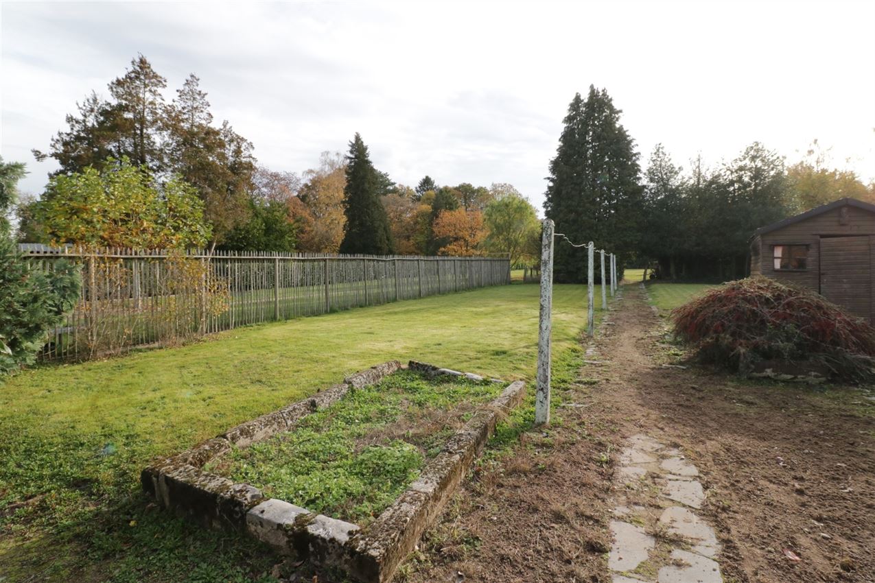 Magnifiek perceel van 19a43ca met zuidgerichte tuin aan de Demervallei foto 5