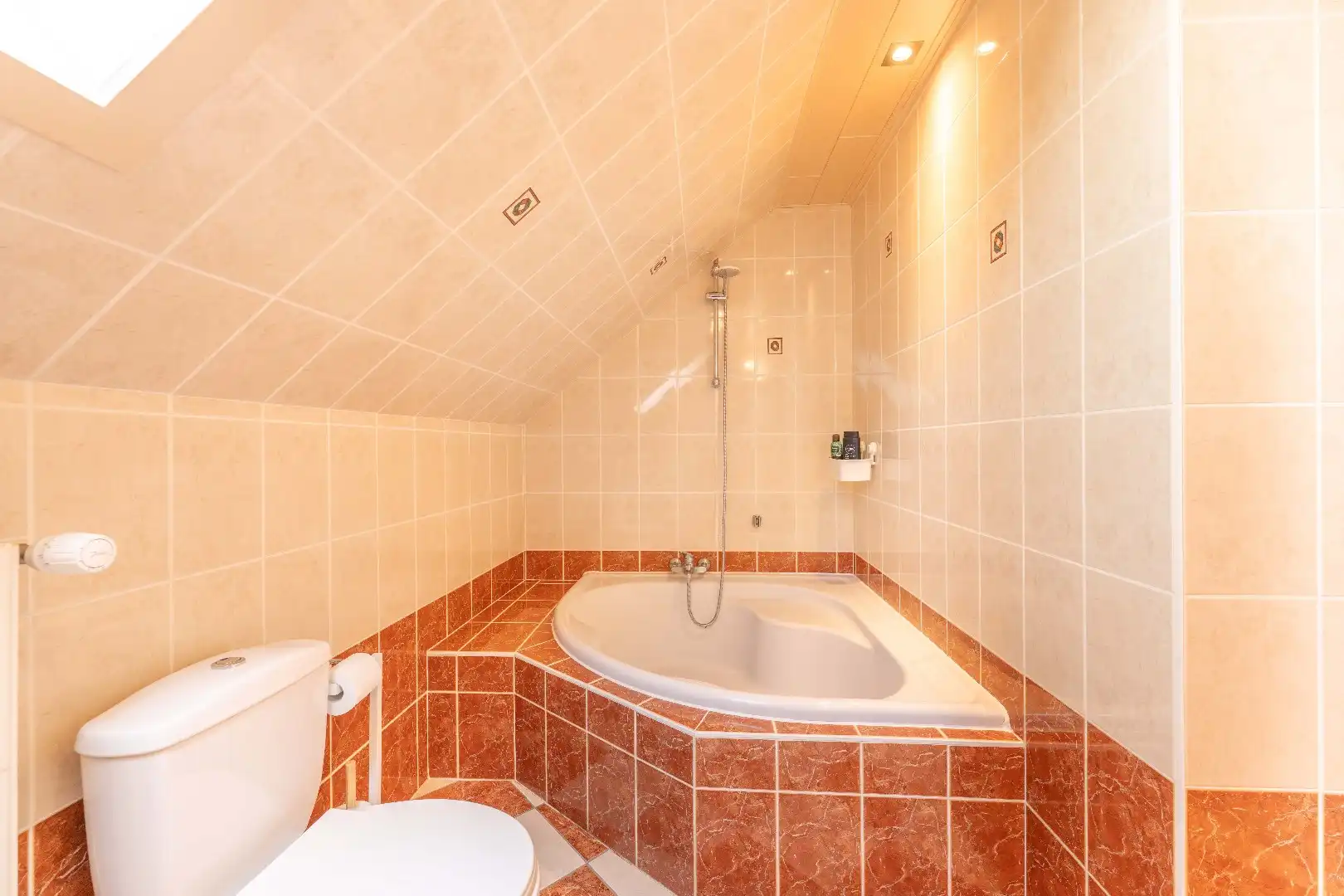 RUIME INSTAPKLARE VILLA MET LANDELIJK ZICHT TE KOOLSKAMP foto 16