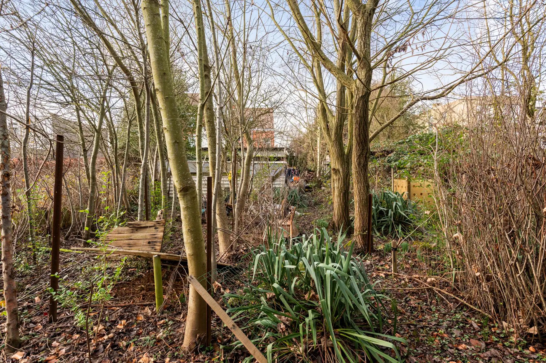 Te renoveren rijwoning met 3 à 4 slaapkamers en ruime tuin. foto 10
