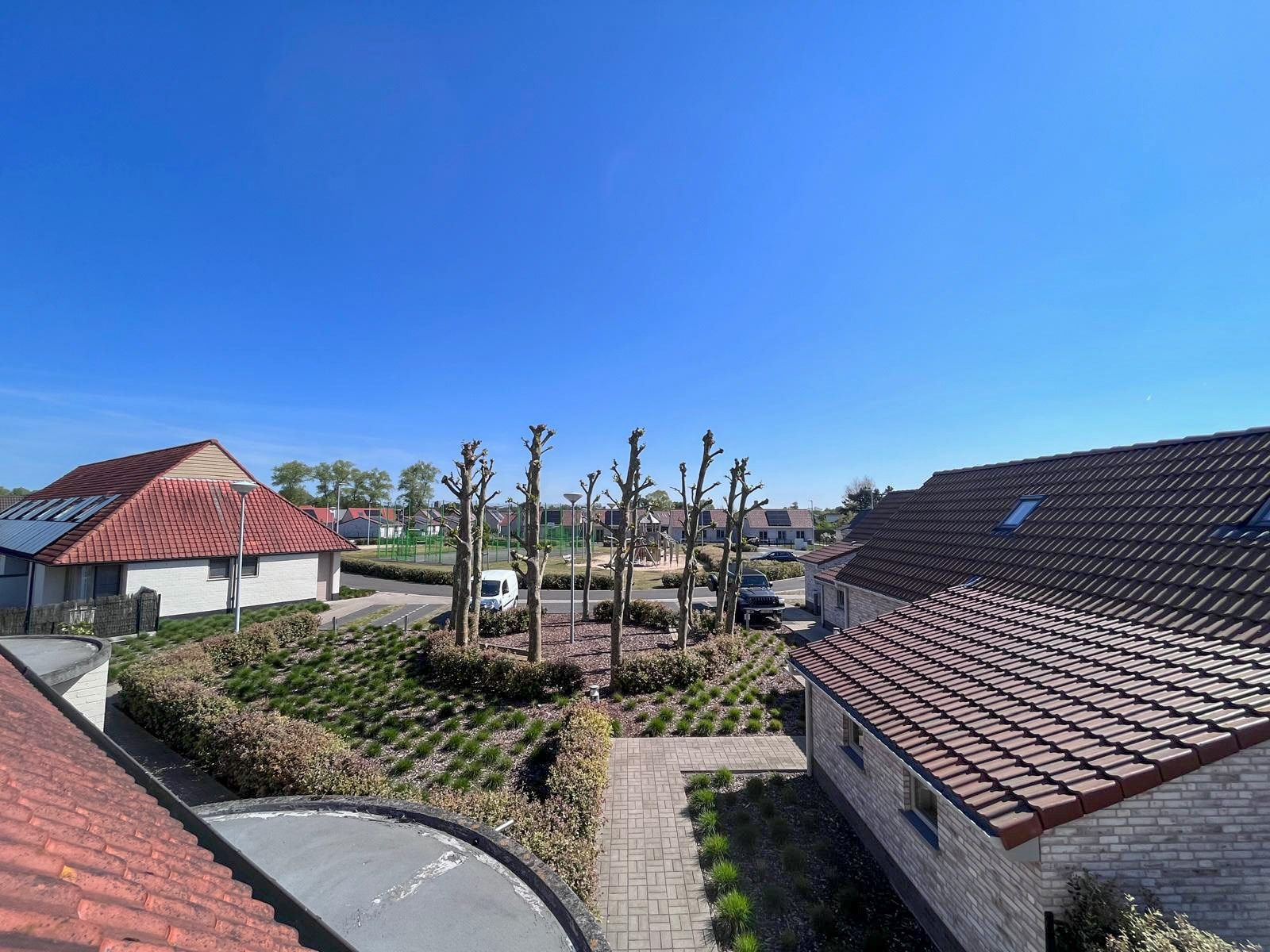 Vakantiewoning met zuid gerichte tuin op wandelafstand van de beschermde duinen  foto 14
