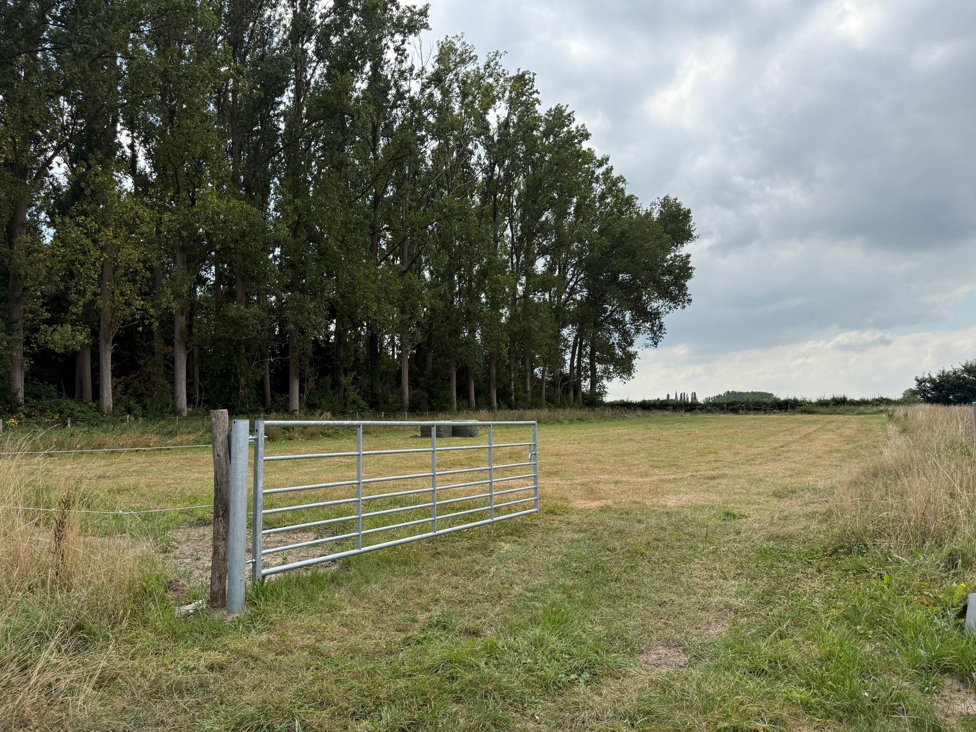 ROOSDAAL - Goed bereikbare weide op +-45a foto {{pictureIndex}}