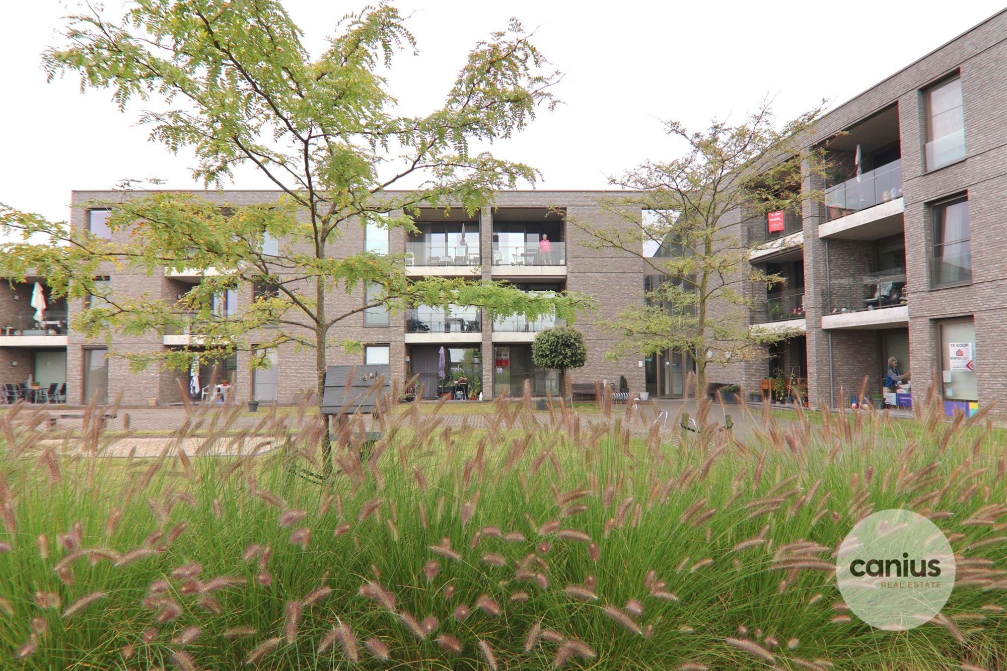 ERKENDE ASSISTENTIEWONING NABIJ HET CENTRUM VAN WELLEN foto 14